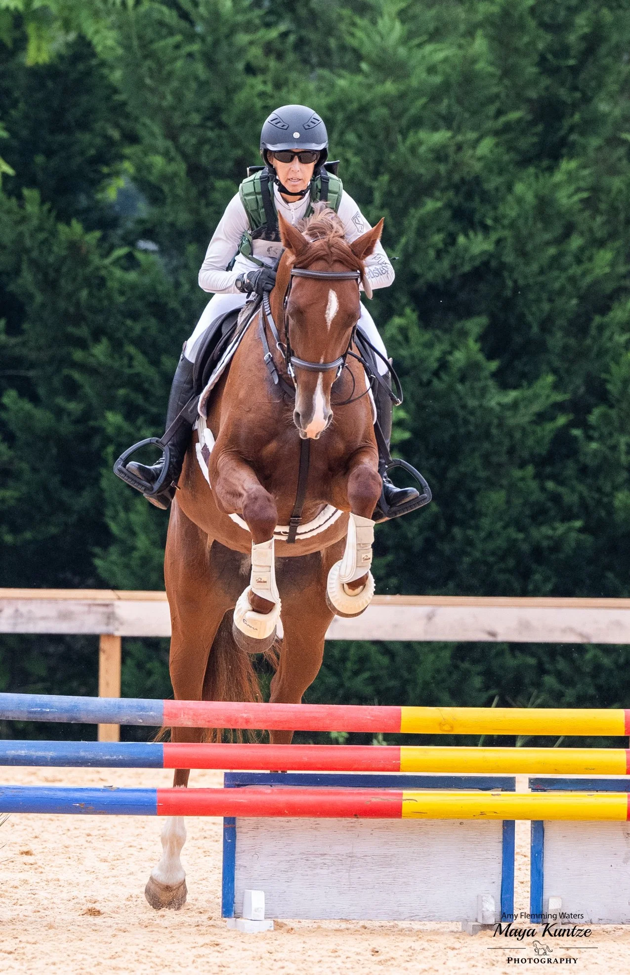 Cadenza WDHT jump 3.jpg