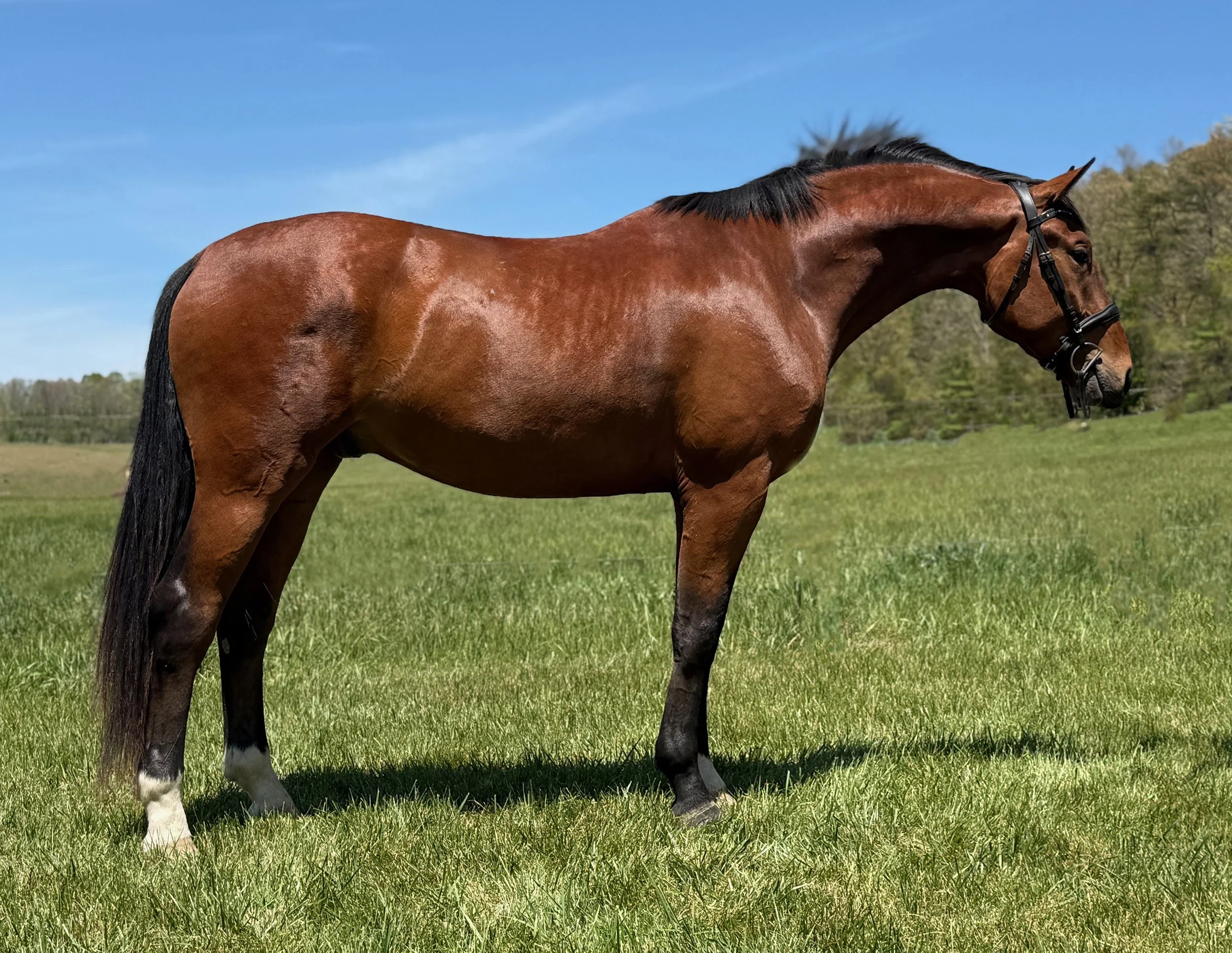 Fame RS 5-26-4.jpg
