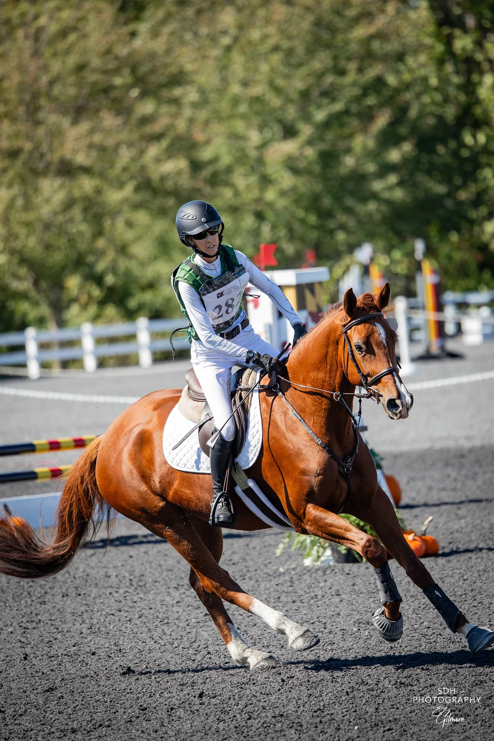 Cadenza MDHT prof canter 1 med.jpg