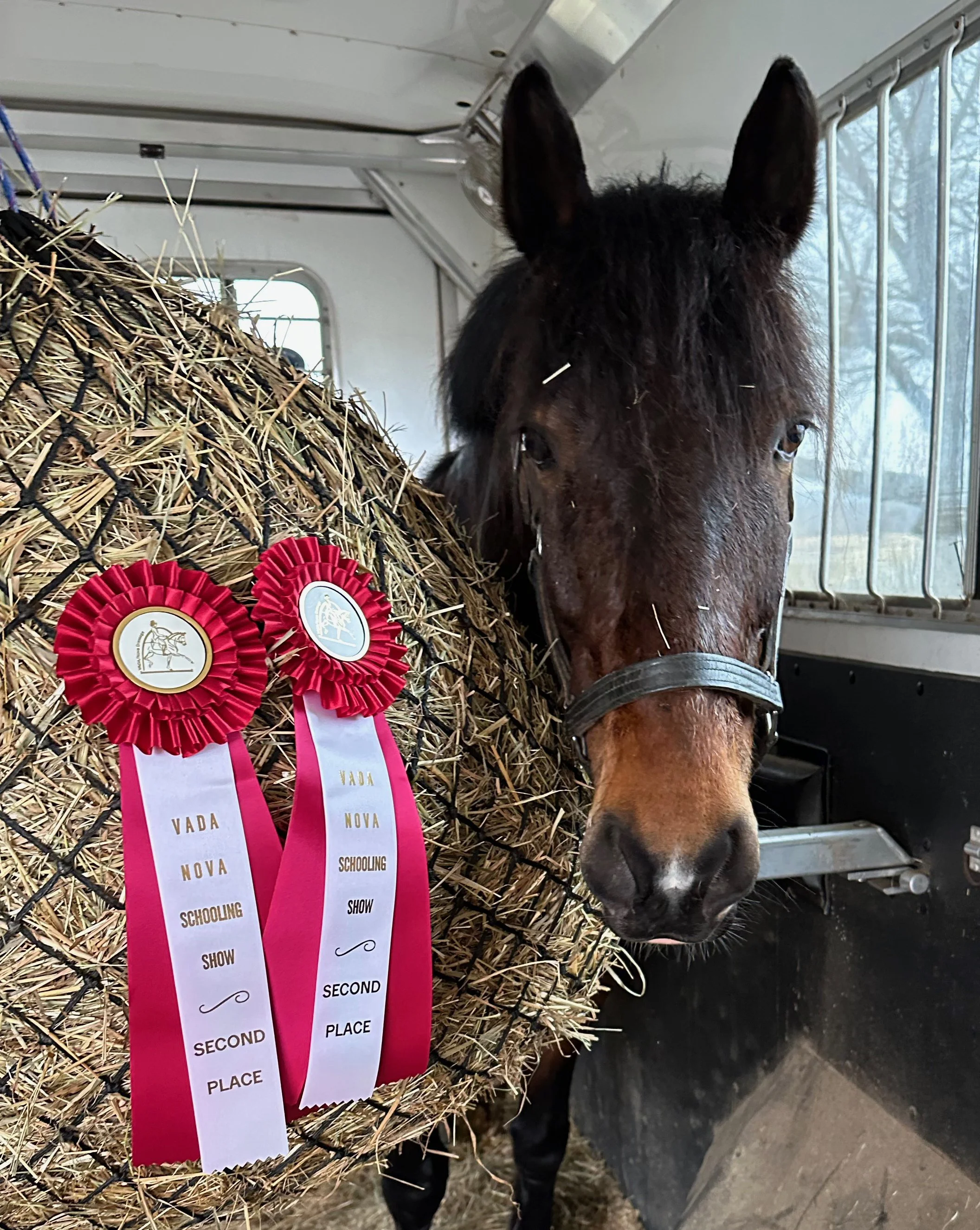 Marcelo MPDS25 ribbon 1.jpg