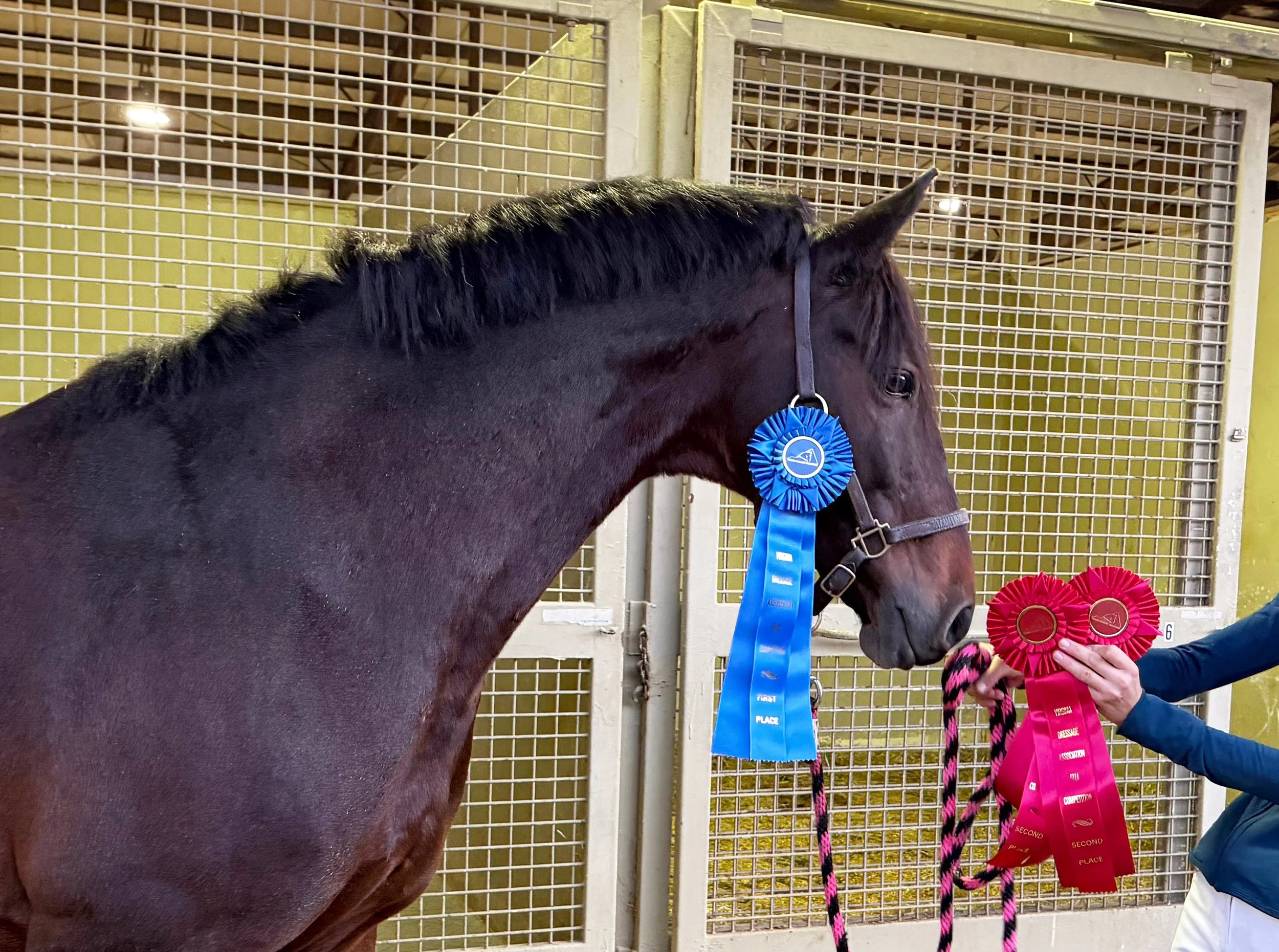 Marcelo GAIG25 ribbons 1.jpg
