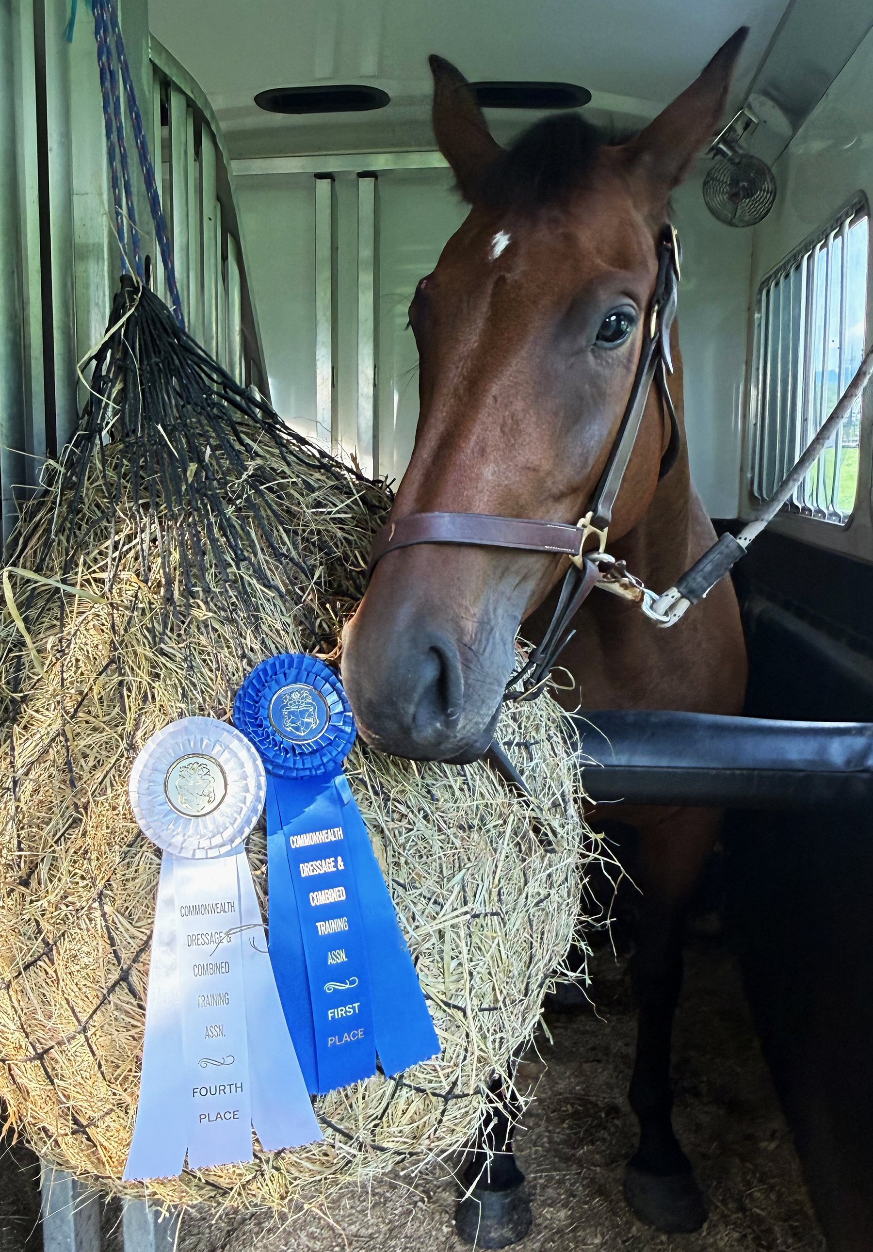 Jinn GMDS ribbons 2.jpg