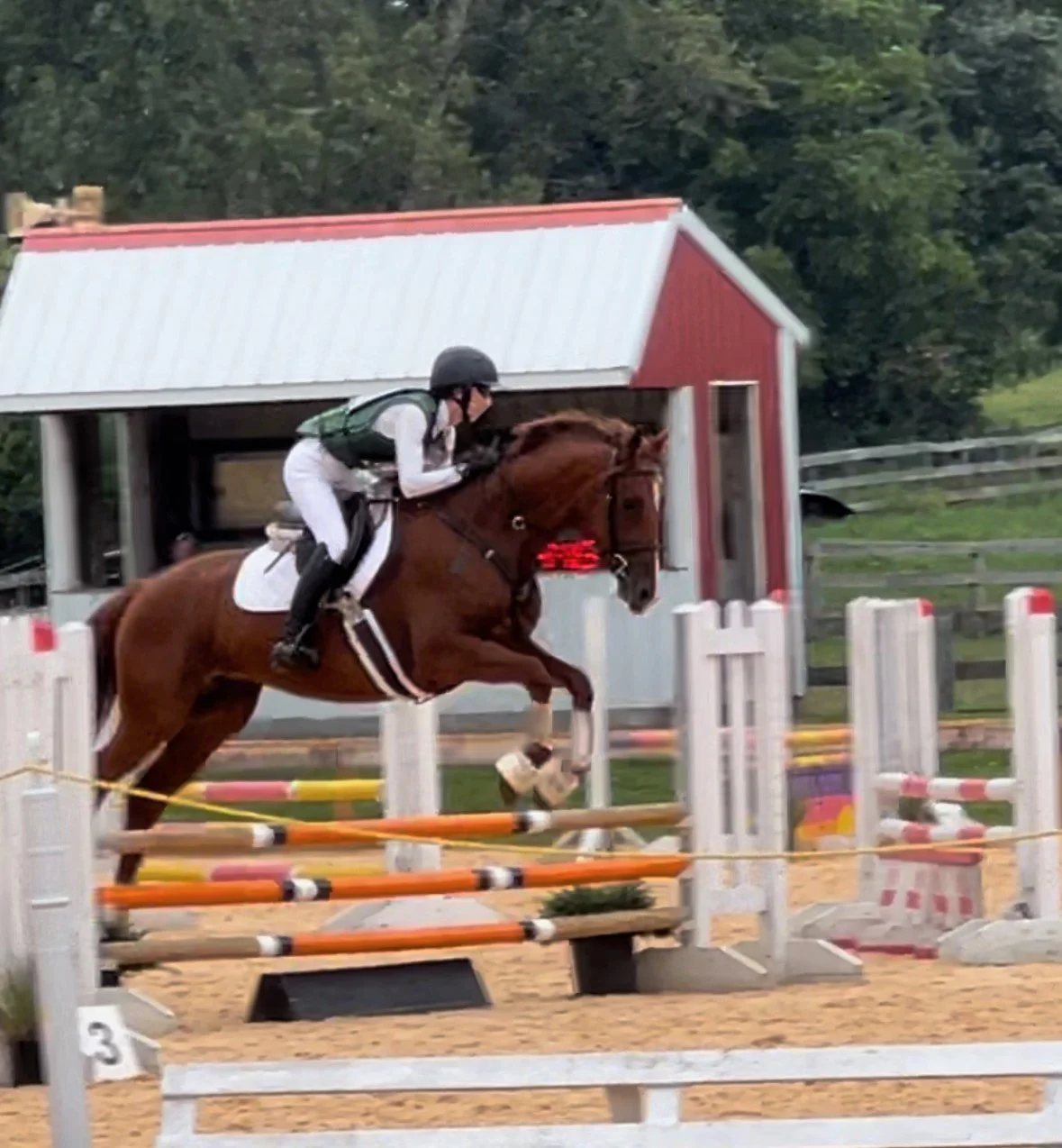 Cadenza WDHT jump 4.jpg
