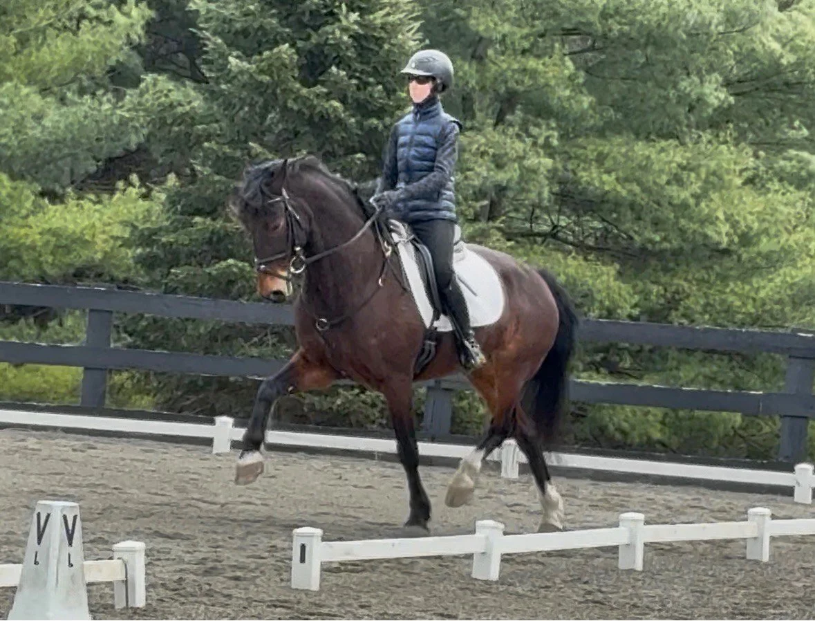 Marcelo BRDS trot 8.jpg