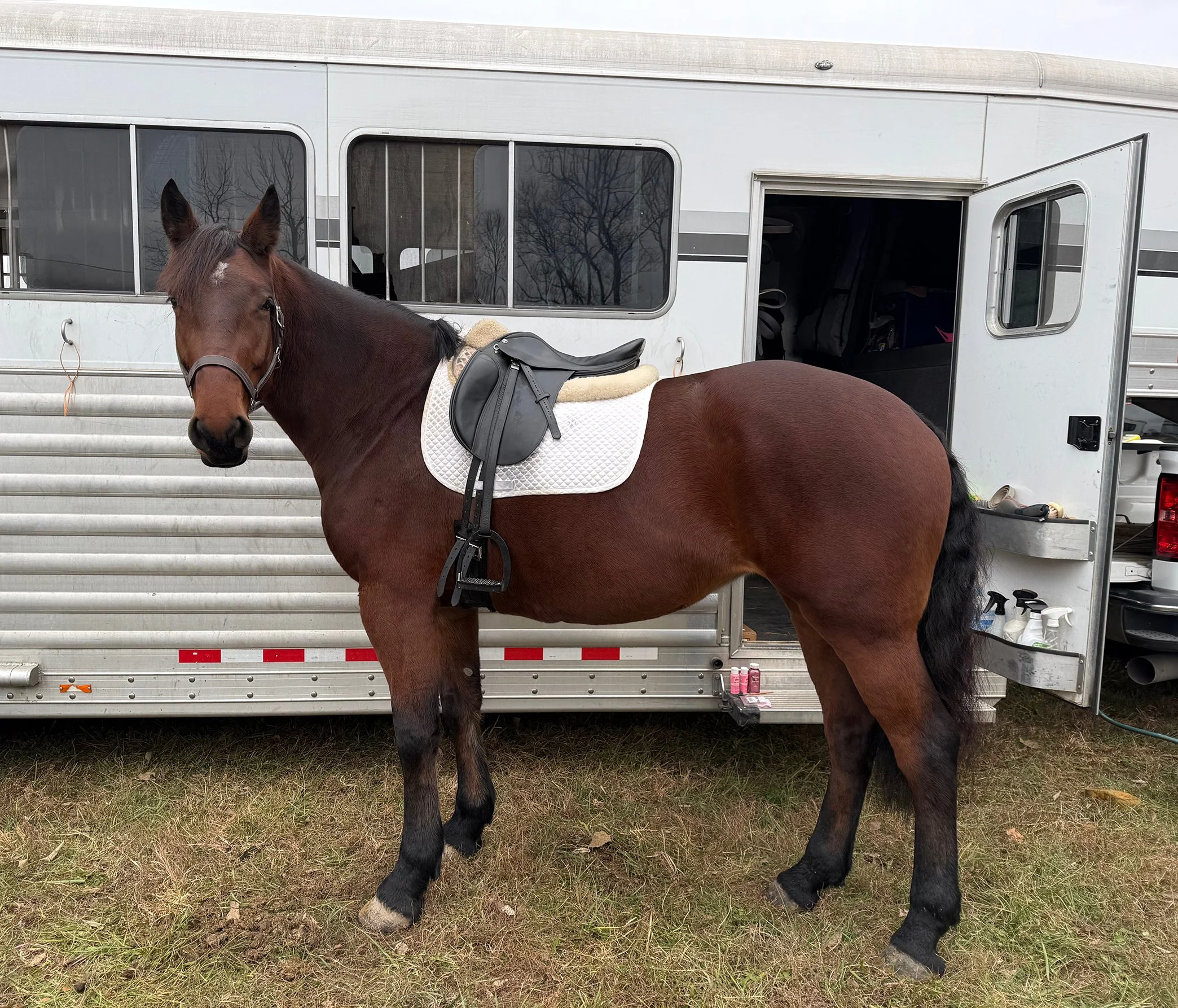 Nesta HCFST tie 1.jpg