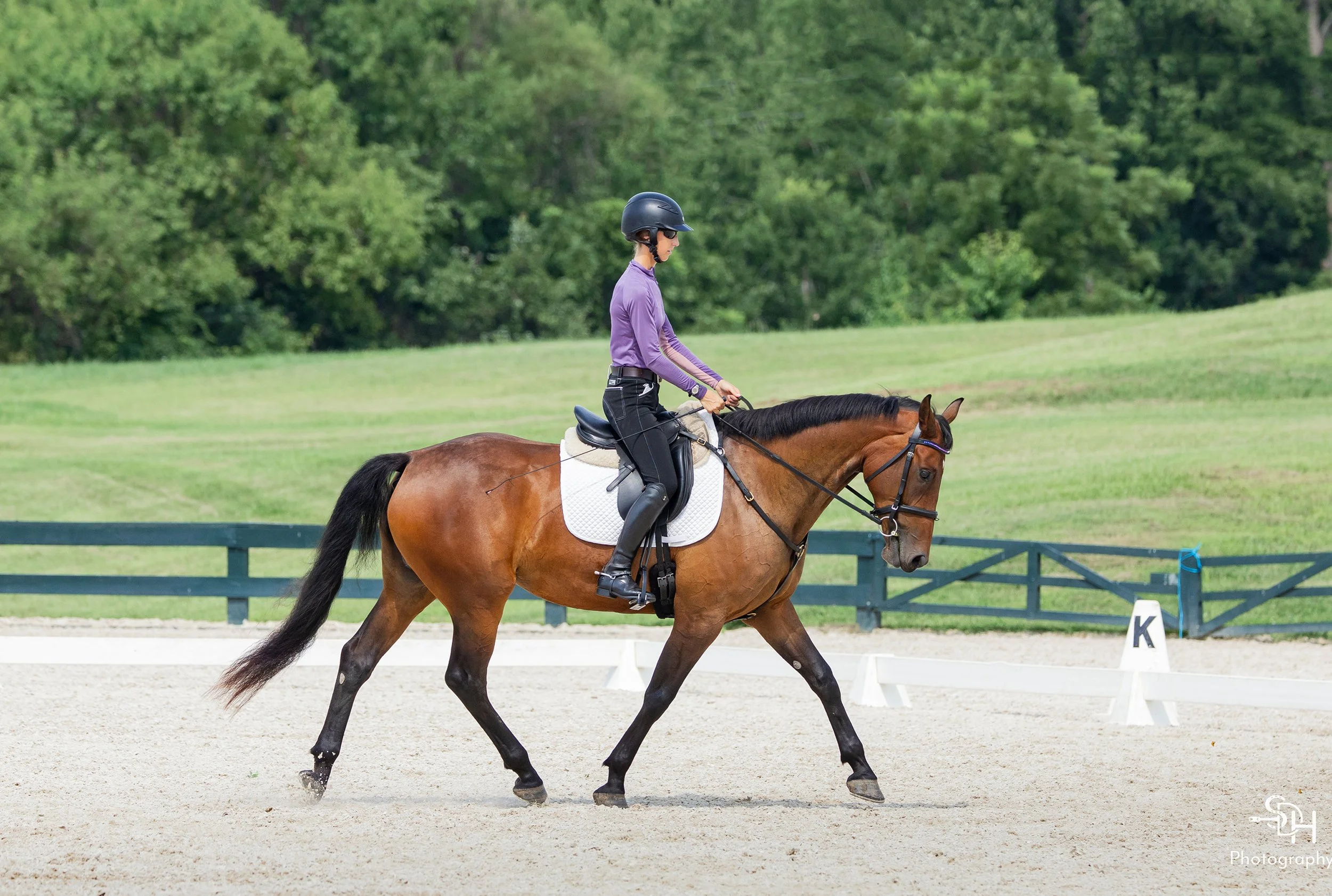 Jinn GMDS2 trot 3 med.jpg