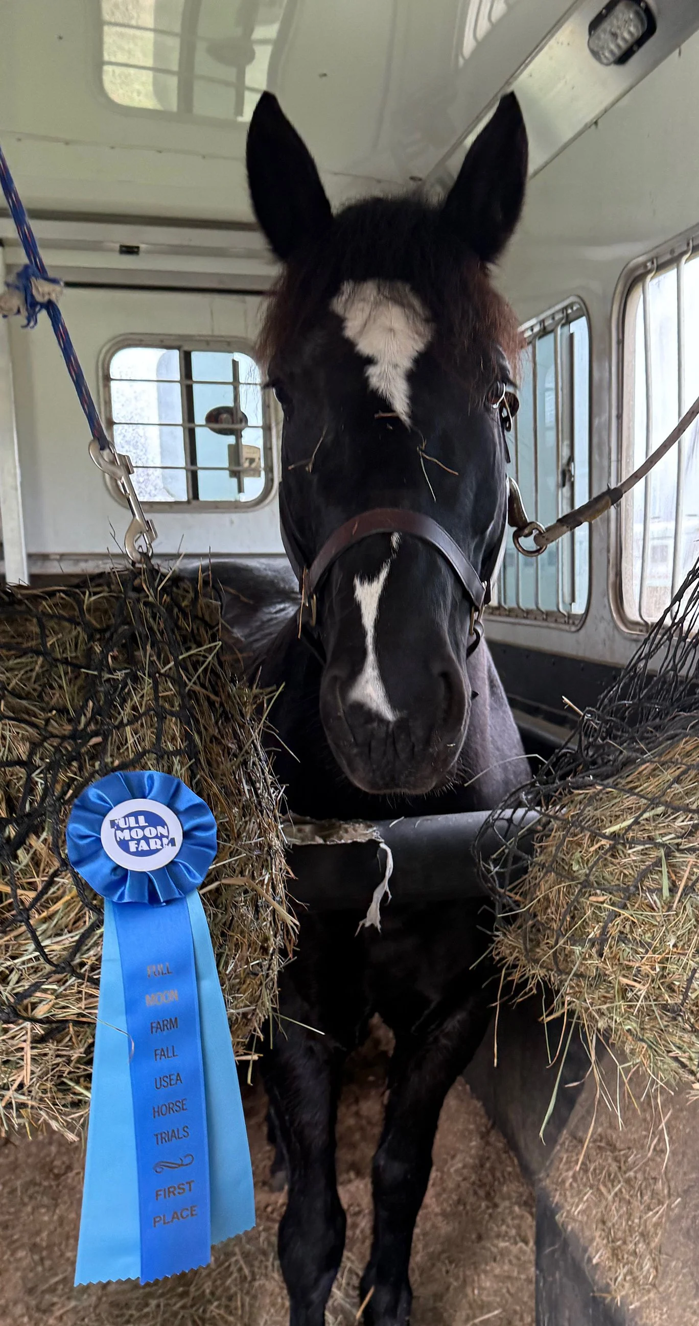 Ruca FMFHT ribbon 1.jpg