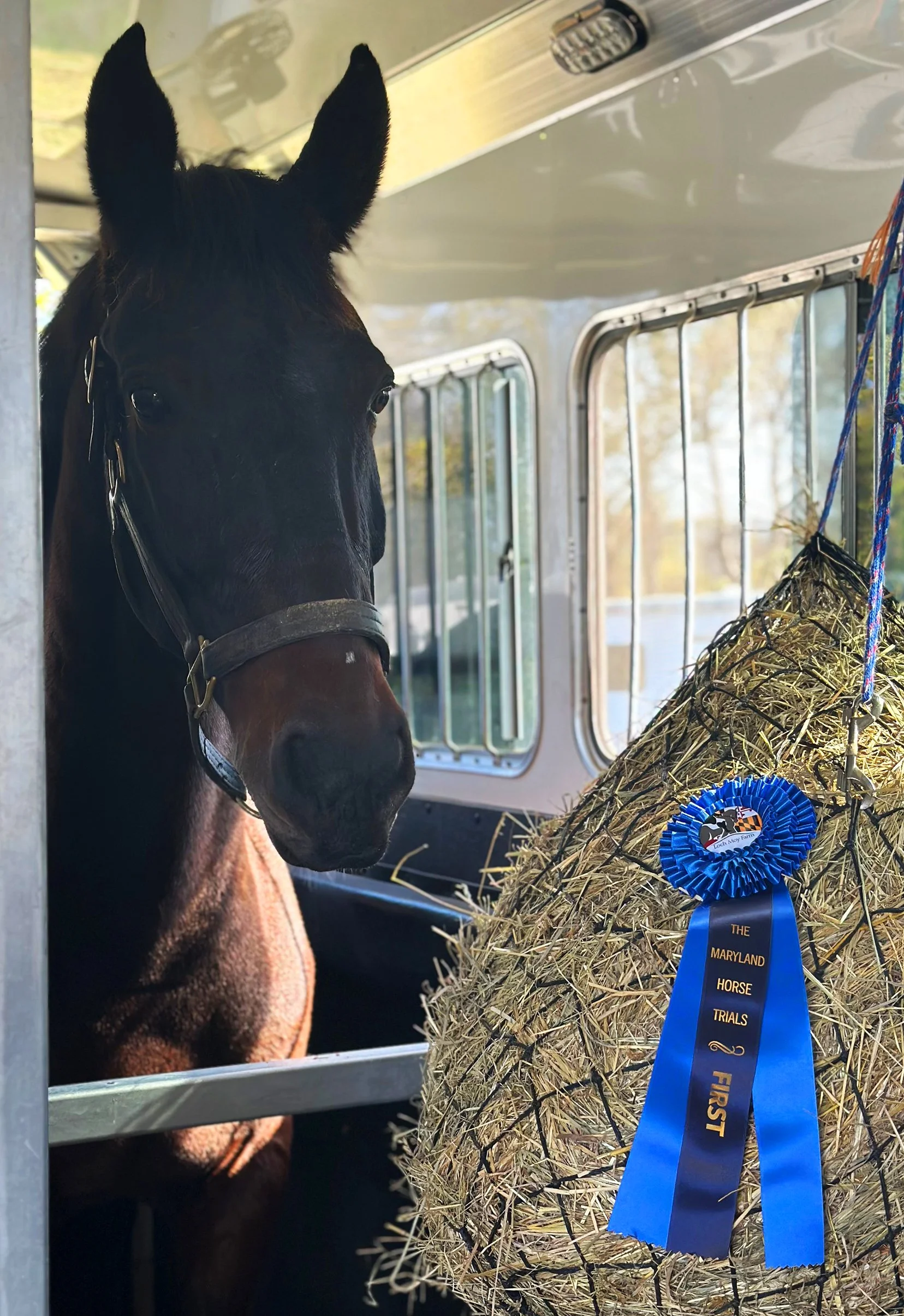 Mulch MDST ribbon 1.jpg