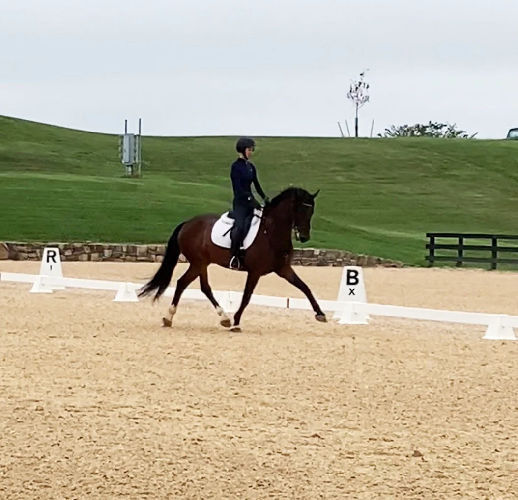 Marcelo MPDS trot 1.jpg