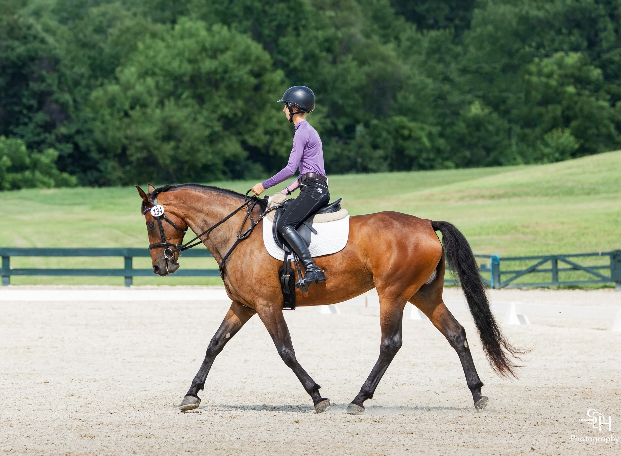 Jinn GMDS2 trot 1 med.jpg
