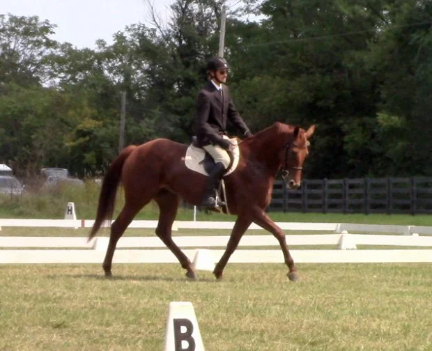 Ilka CDCTAHT trot 1.jpg