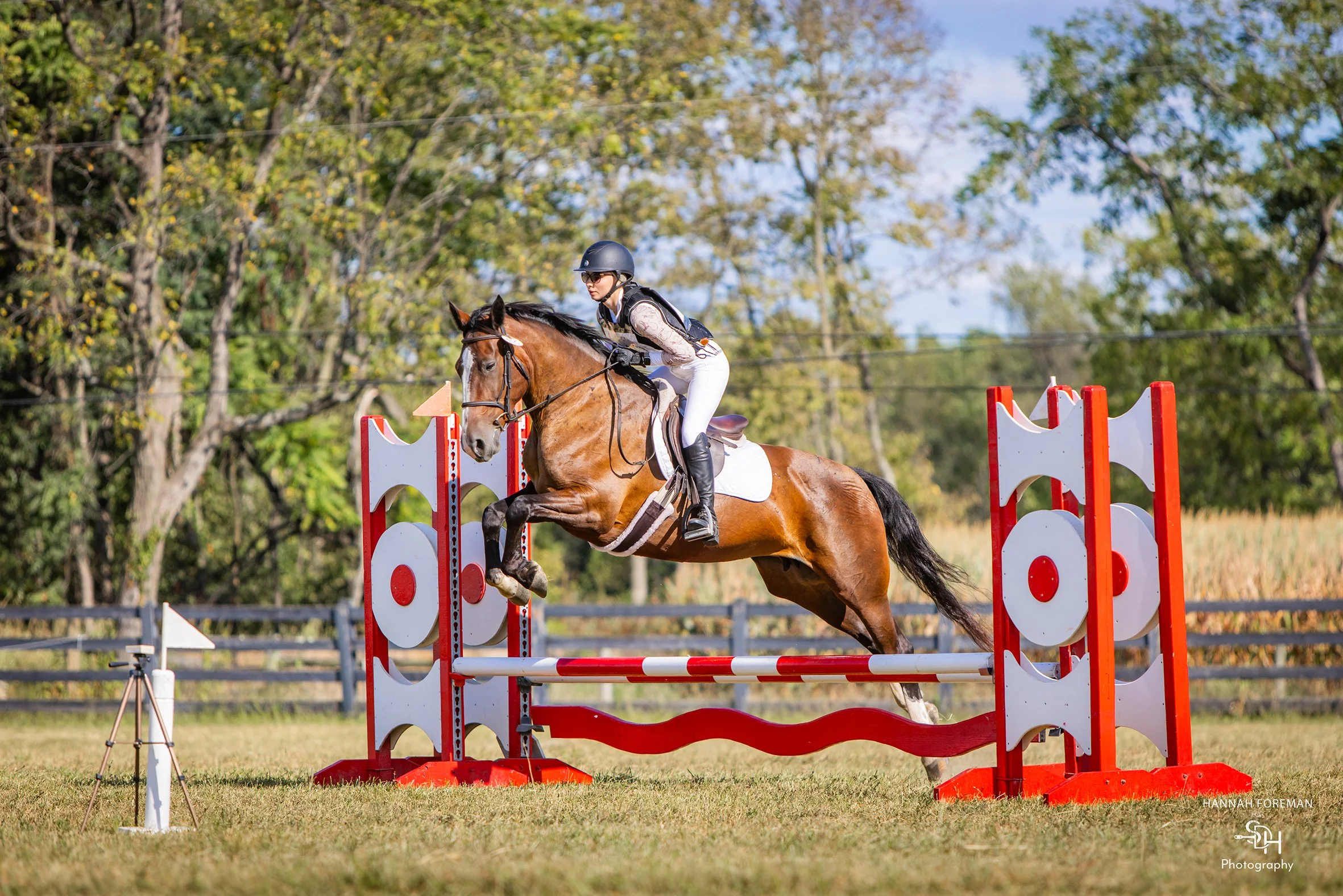 Tee CDCTA prof jump 1 med.jpg