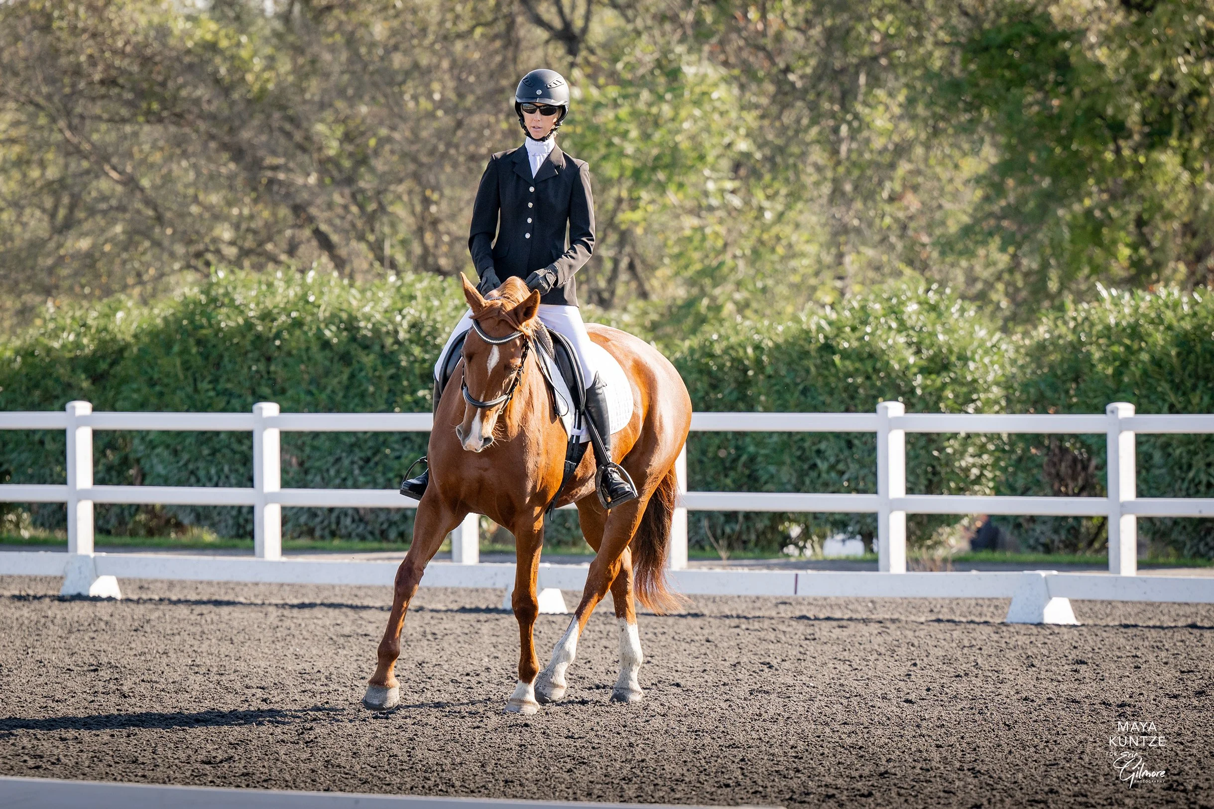 Cadenza MDHT prof trot 1 med.jpg