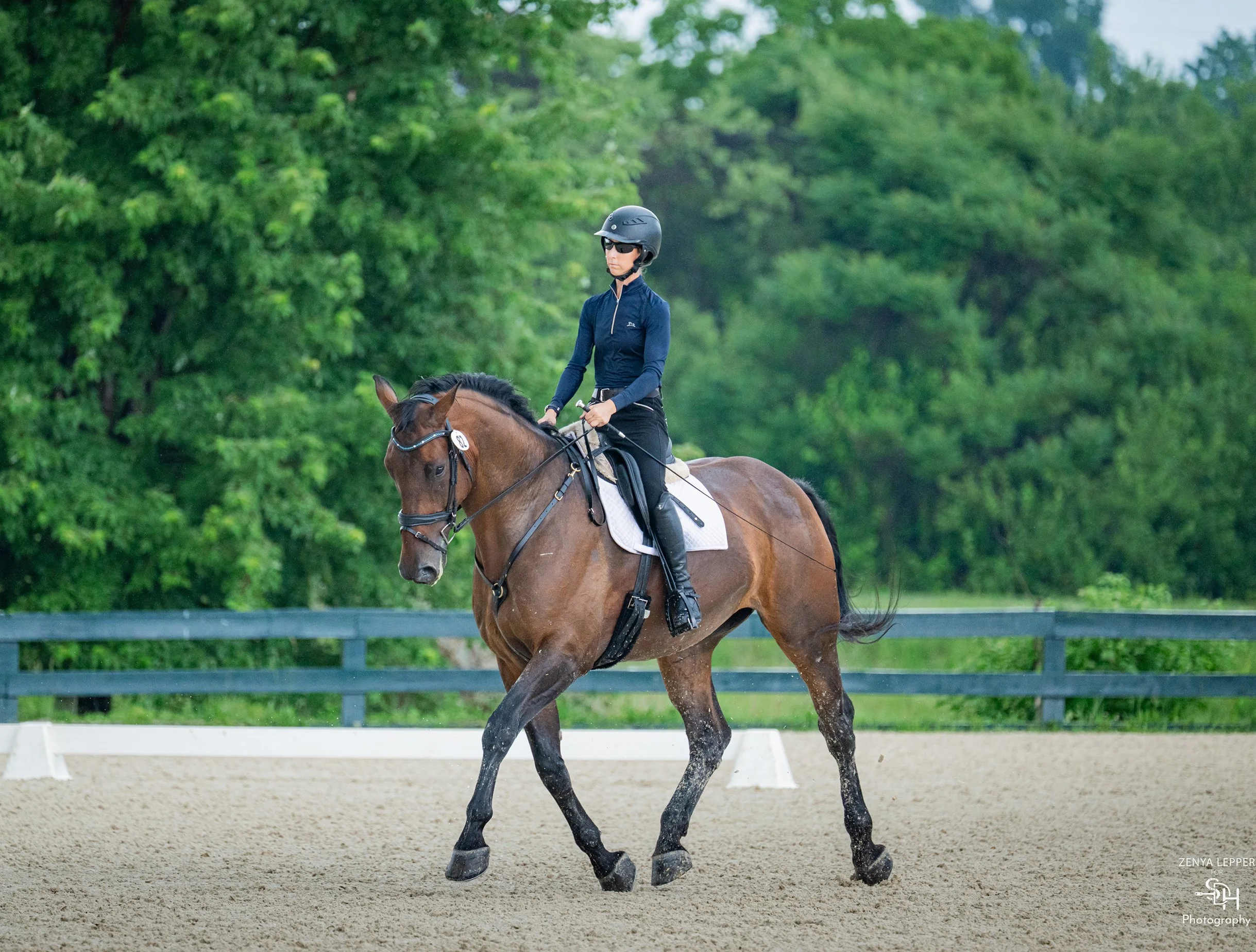 Jacek GMDS 7-26 trot 1 med.jpg