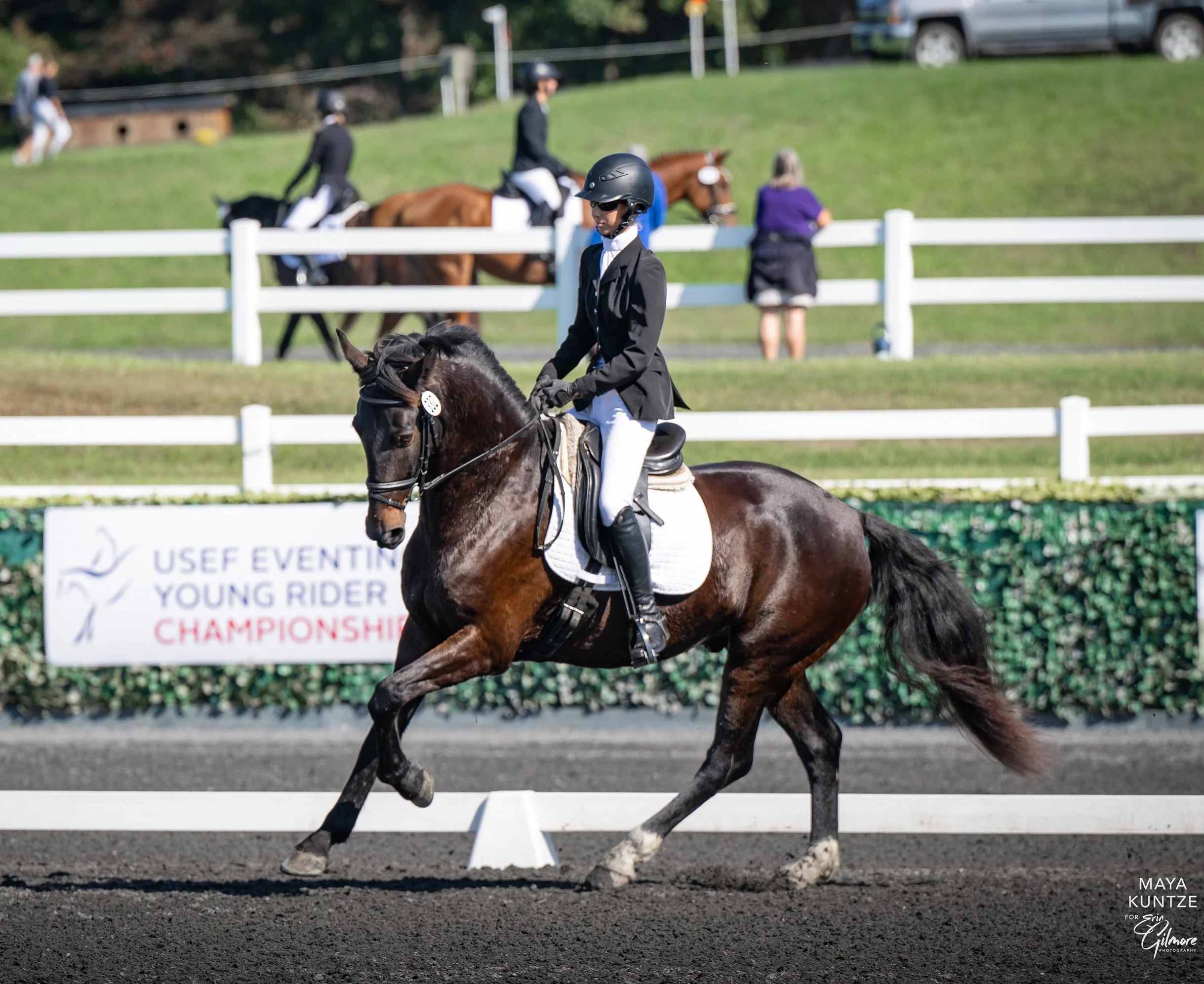 Mulch MDHT prof canter 2 med.jpg