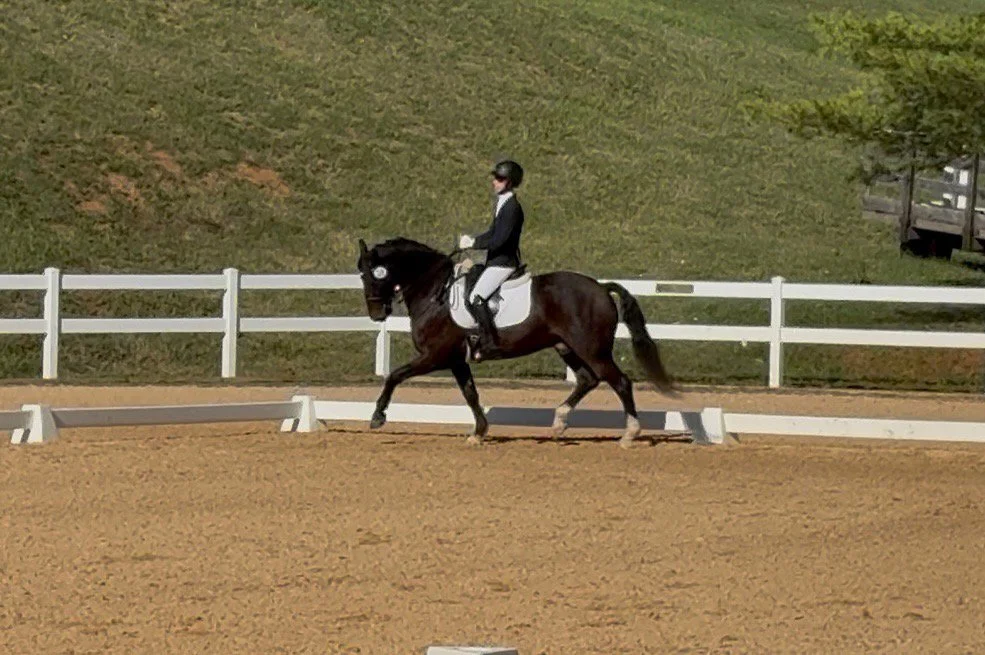 Marcelo GAIG25 trot 2.jpg