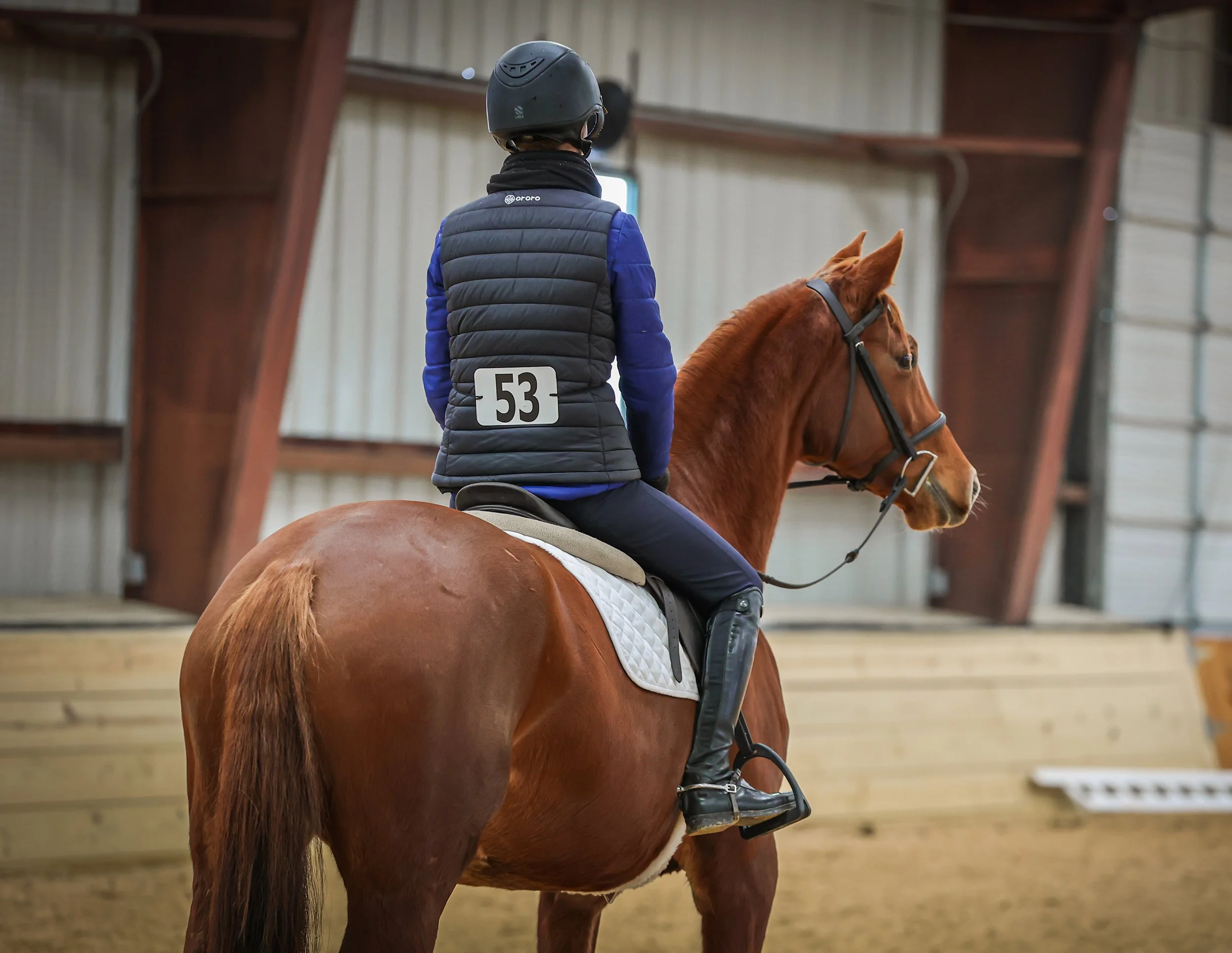 Cadenza PJS stand prof 1 med.jpg