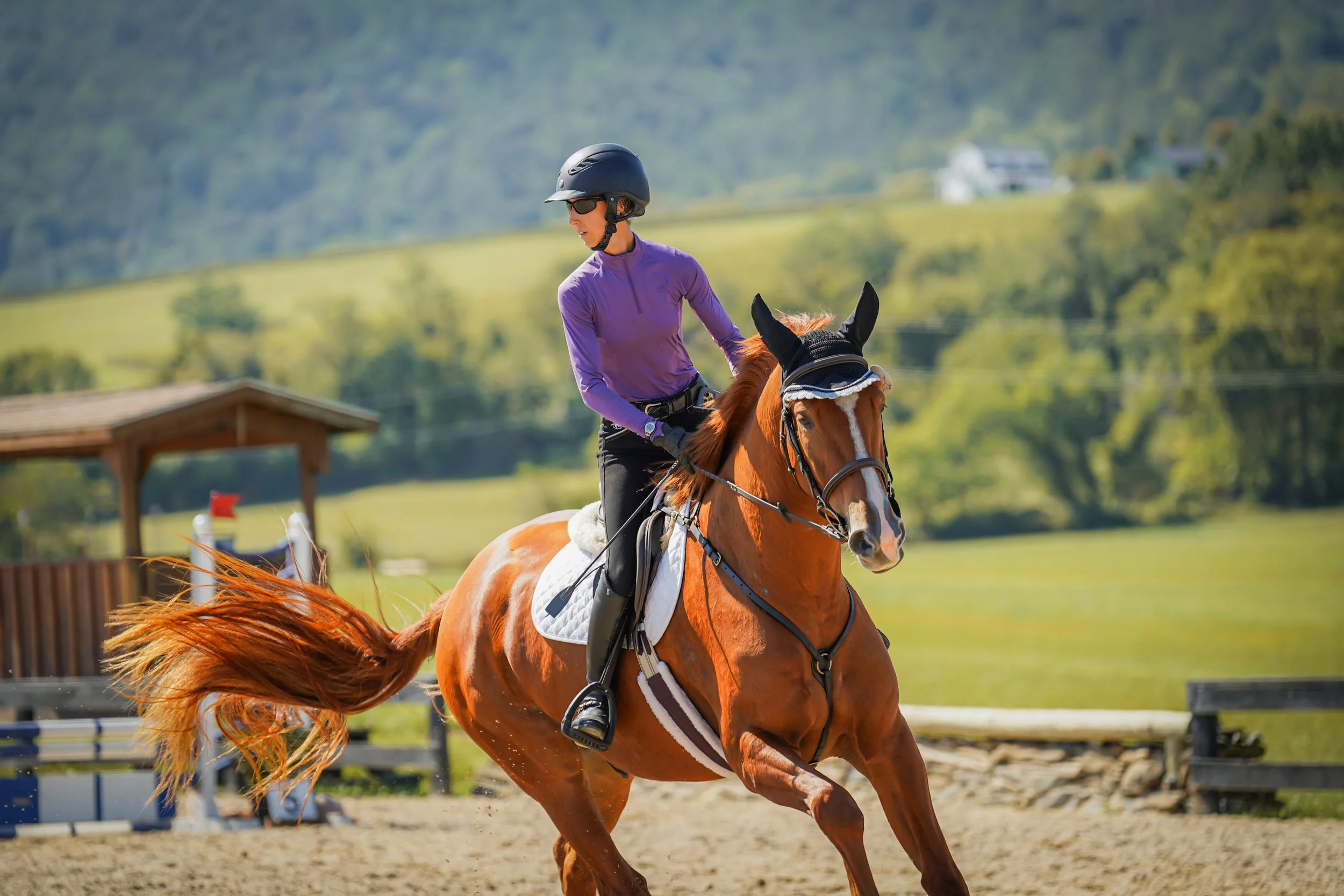 Titanium RGST prof canter 1.jpg