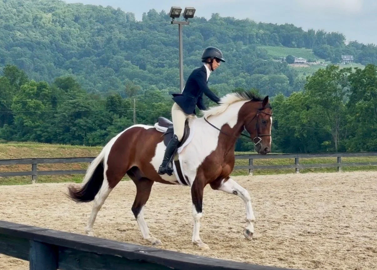 Gelos RGF canter 2.jpg