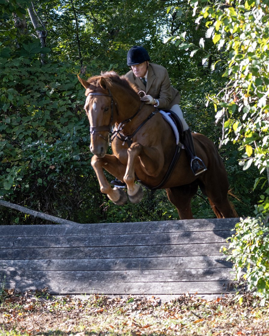 Oliver Orange Hill 11 Oct 2023.JPG