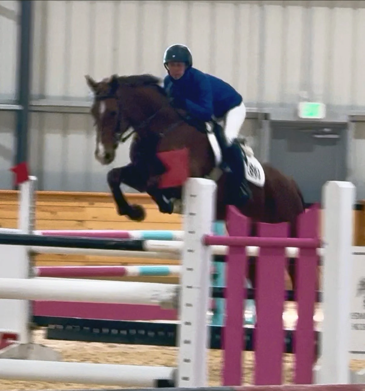 Cadenza MCDJS jump 2.jpg