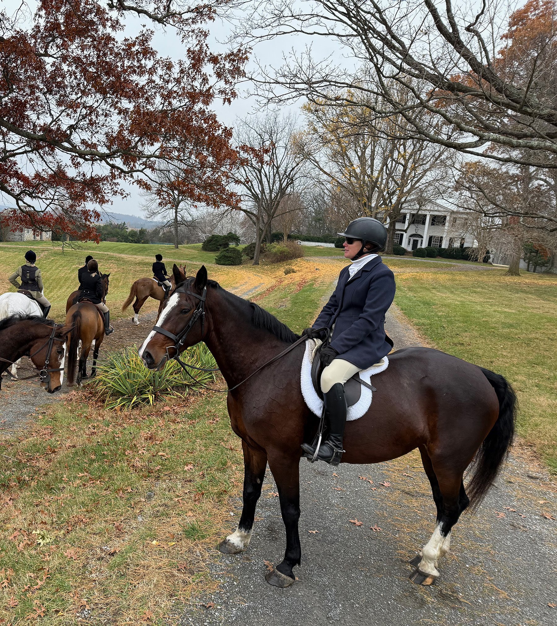 Tee hunt 11-25-1.jpg