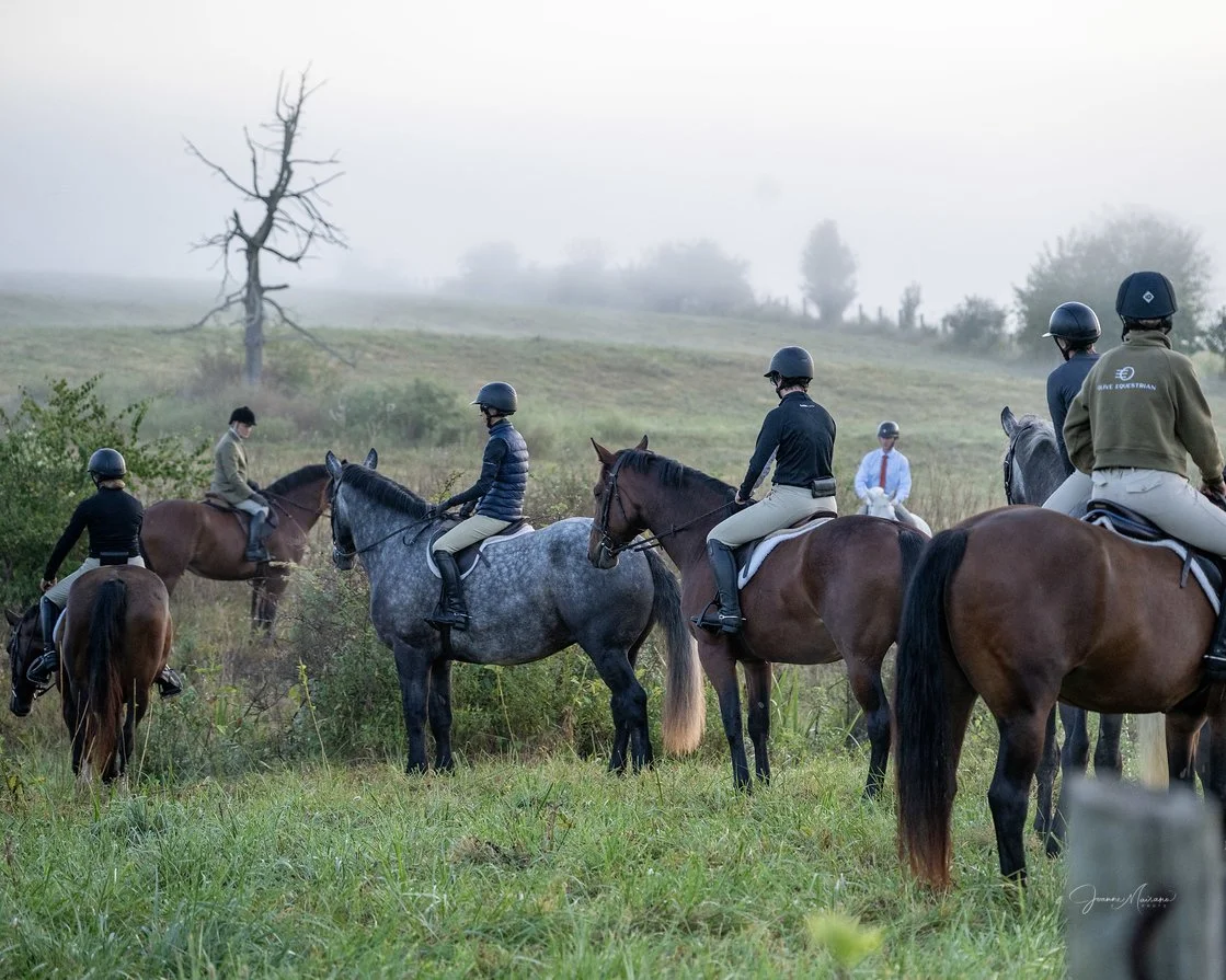 Magnum prof hunt 1.jpg