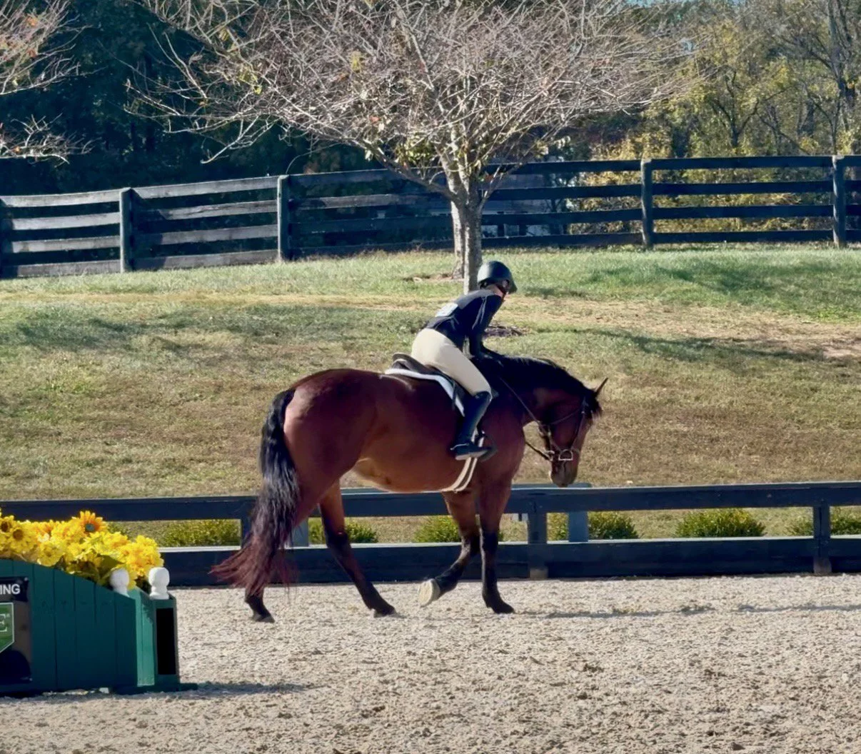 Nesta BVHS walk 2.jpg