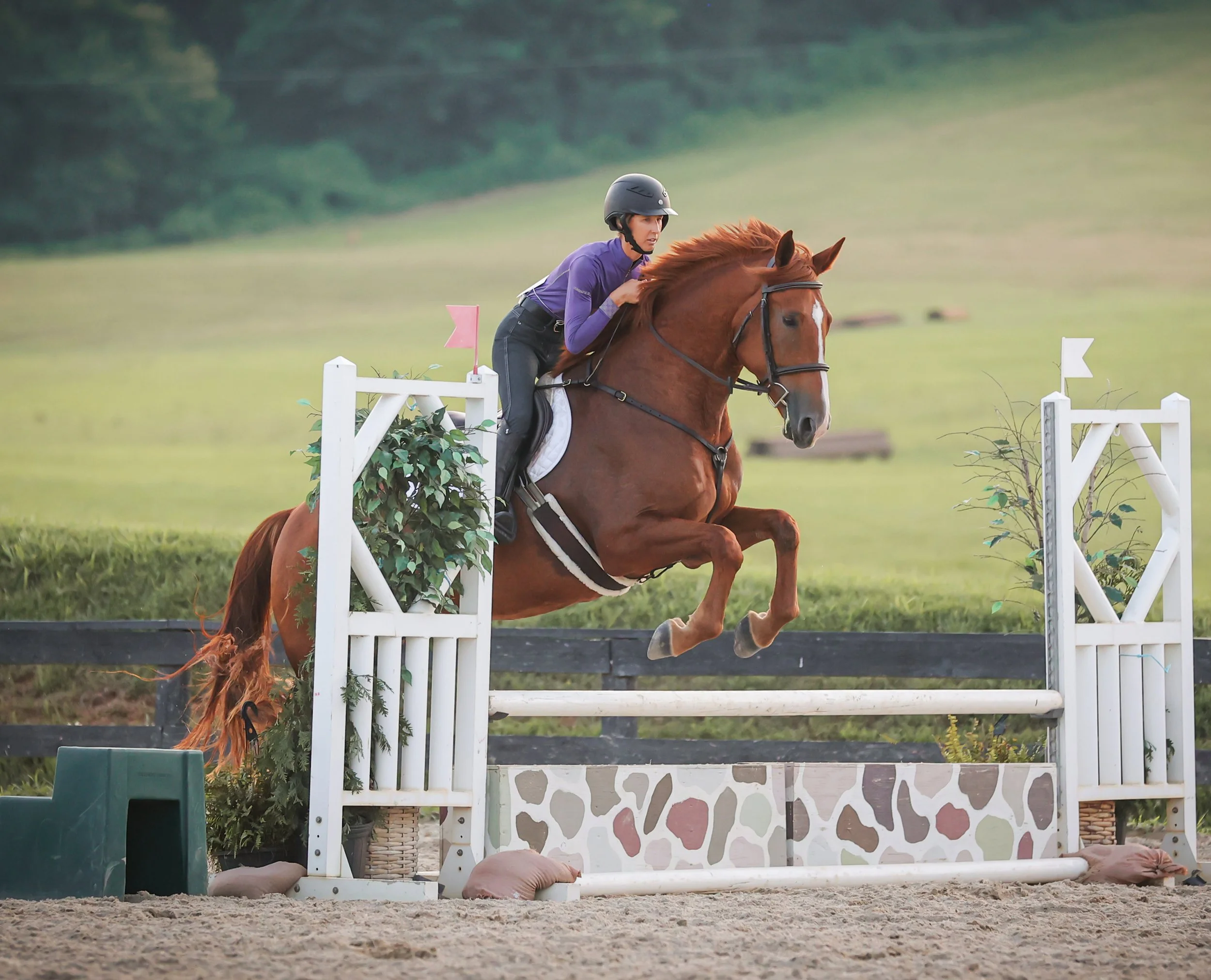 Titanium RGFJS jump 2 med.jpg