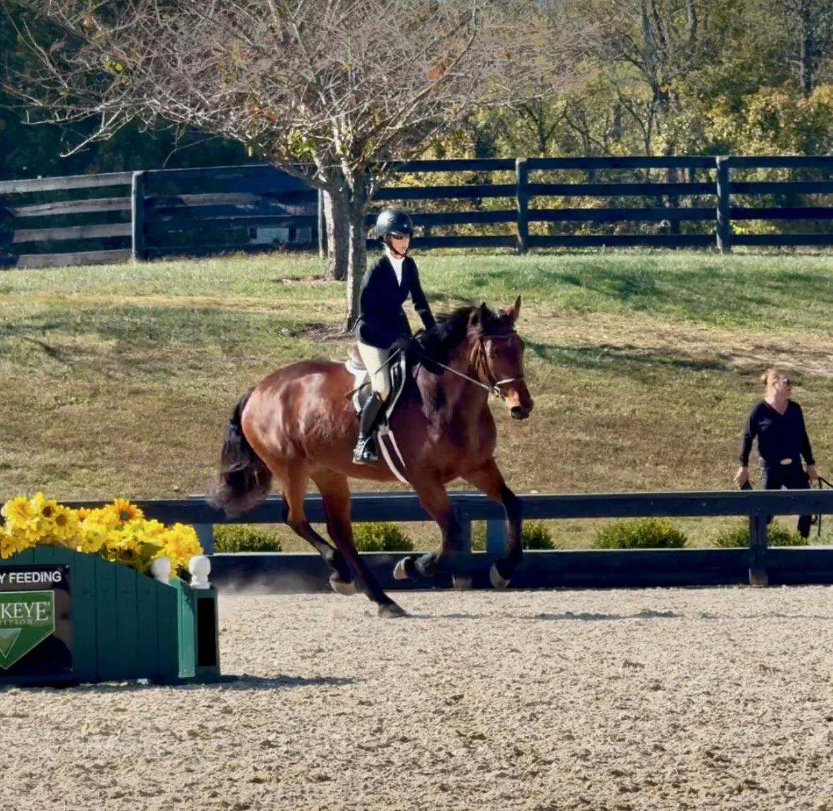 Nesta BVHS canter 1.jpg