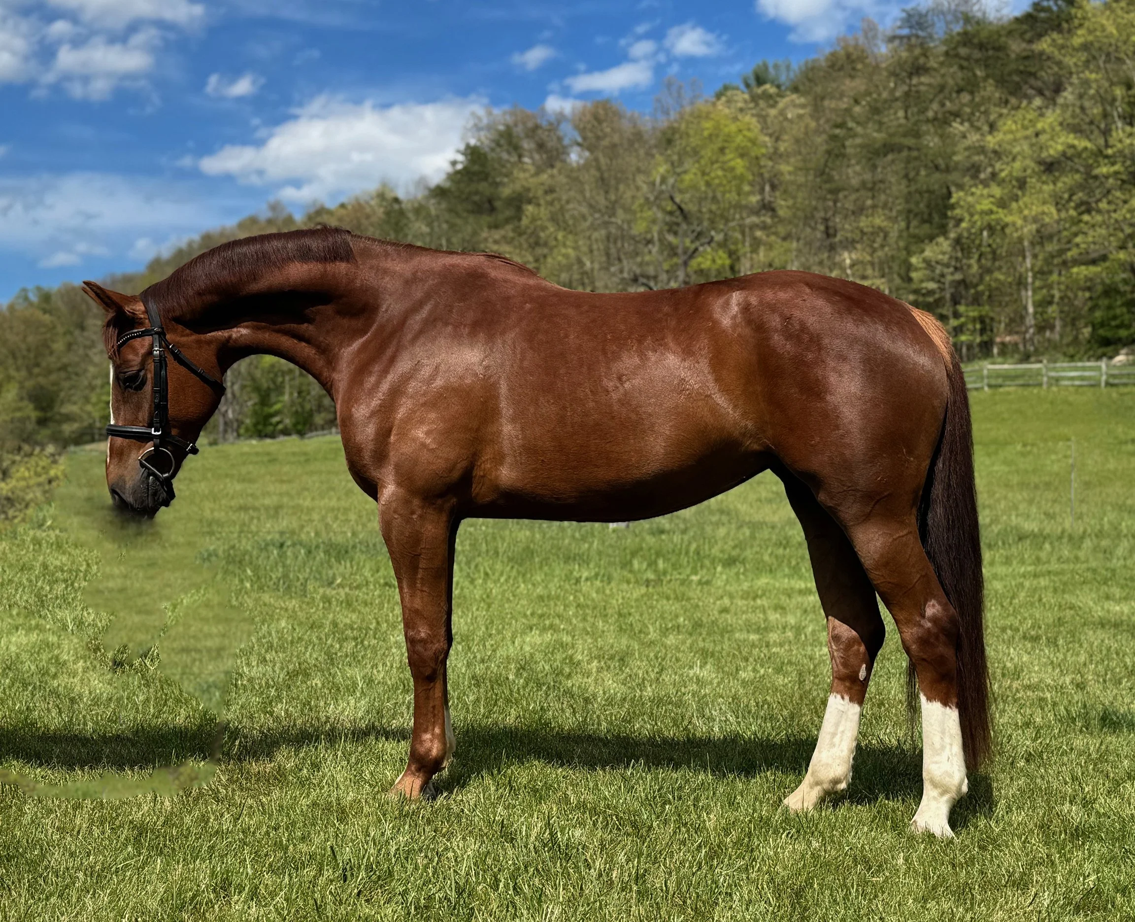 Bemuse LS 5-26-2.jpg