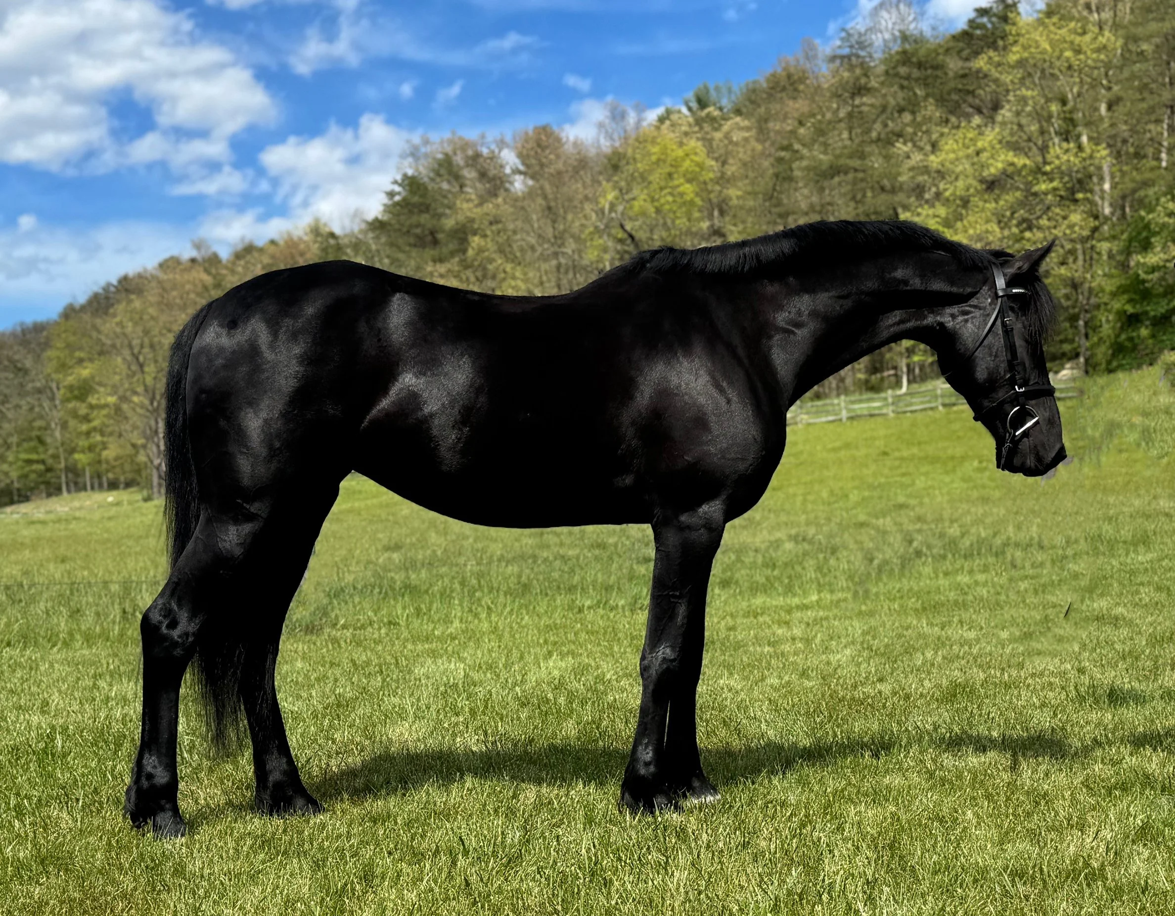Maggie RS 5-26-1G.jpg