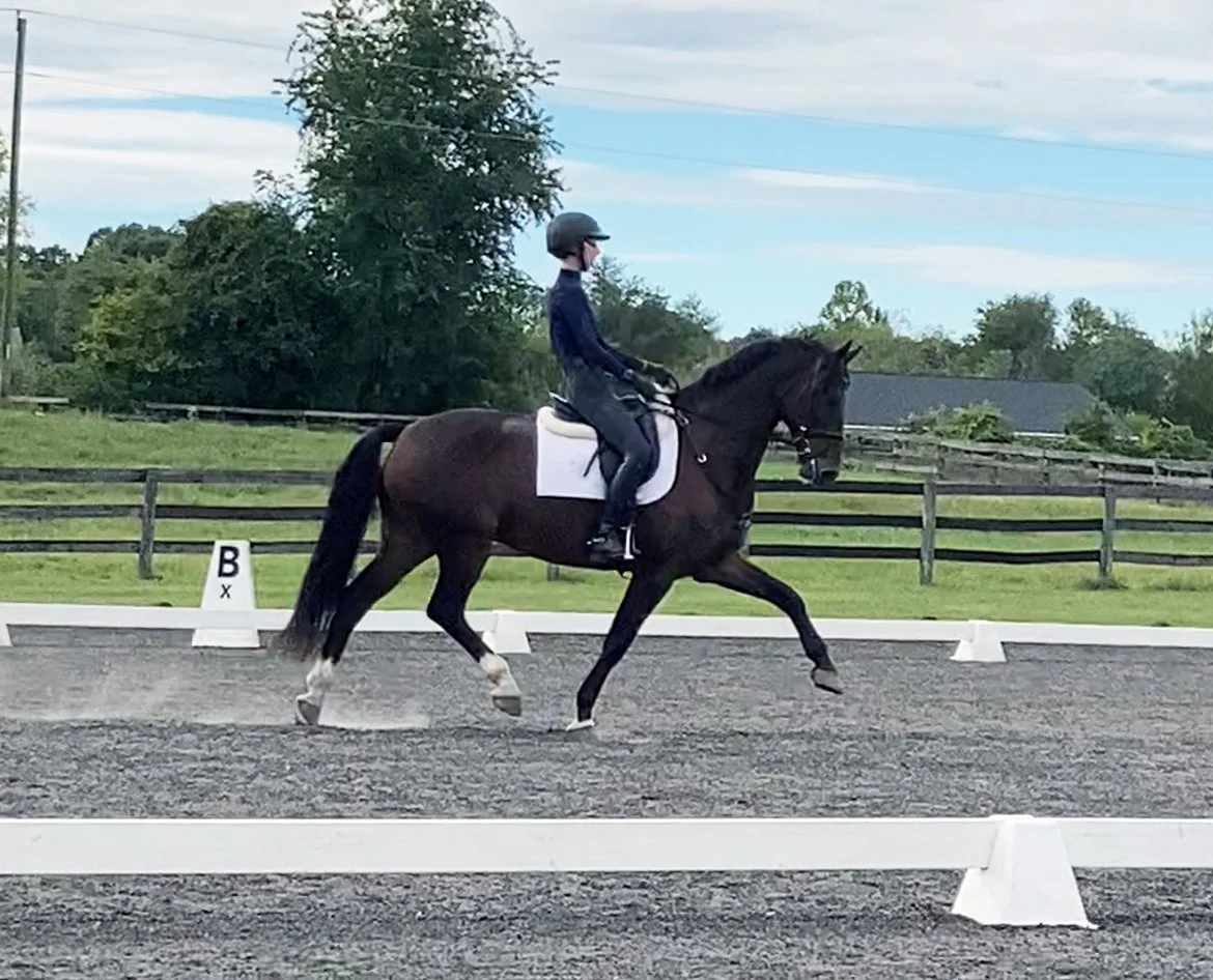 Marcelo CRDS trot 2.jpg