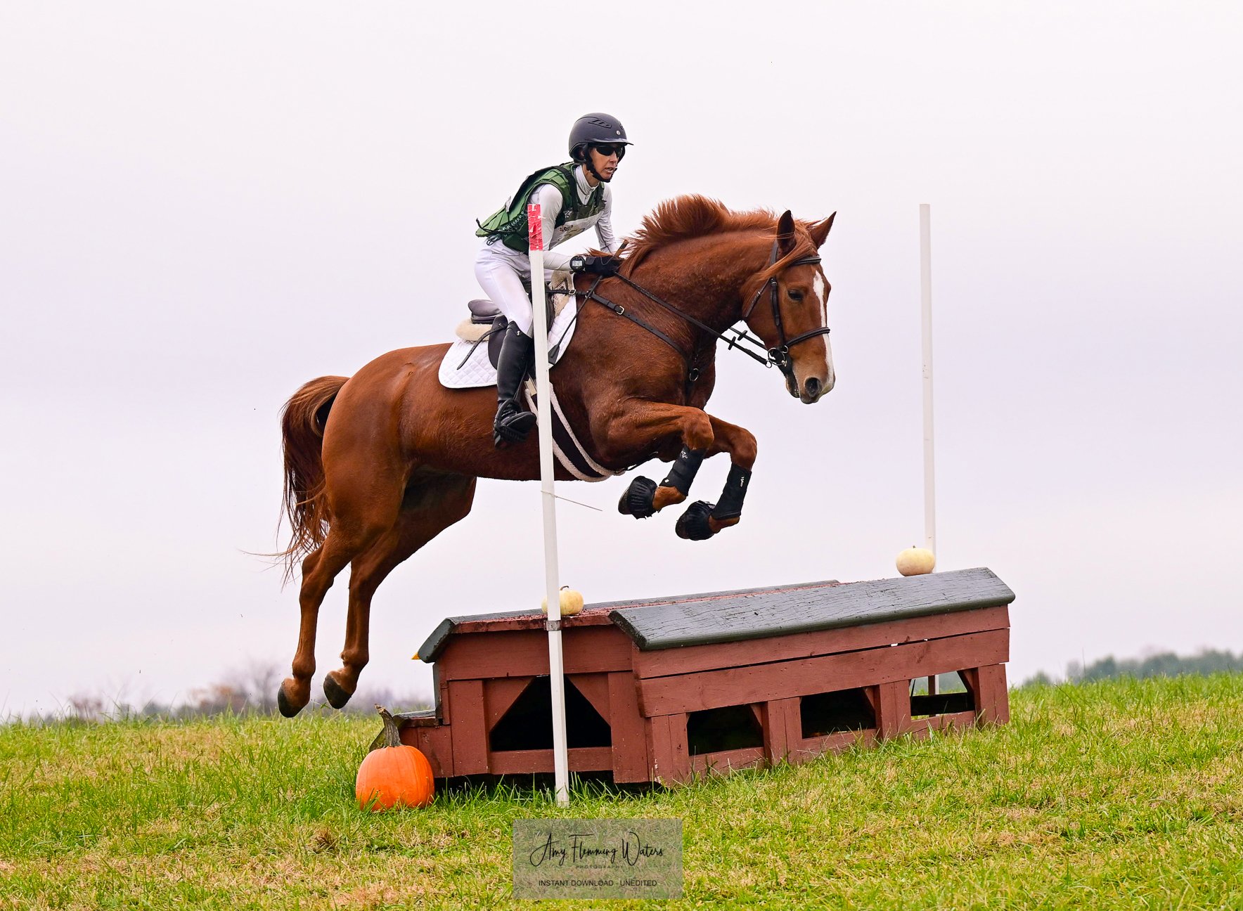 Titanium FMFHT prof xc jump 1.jpg