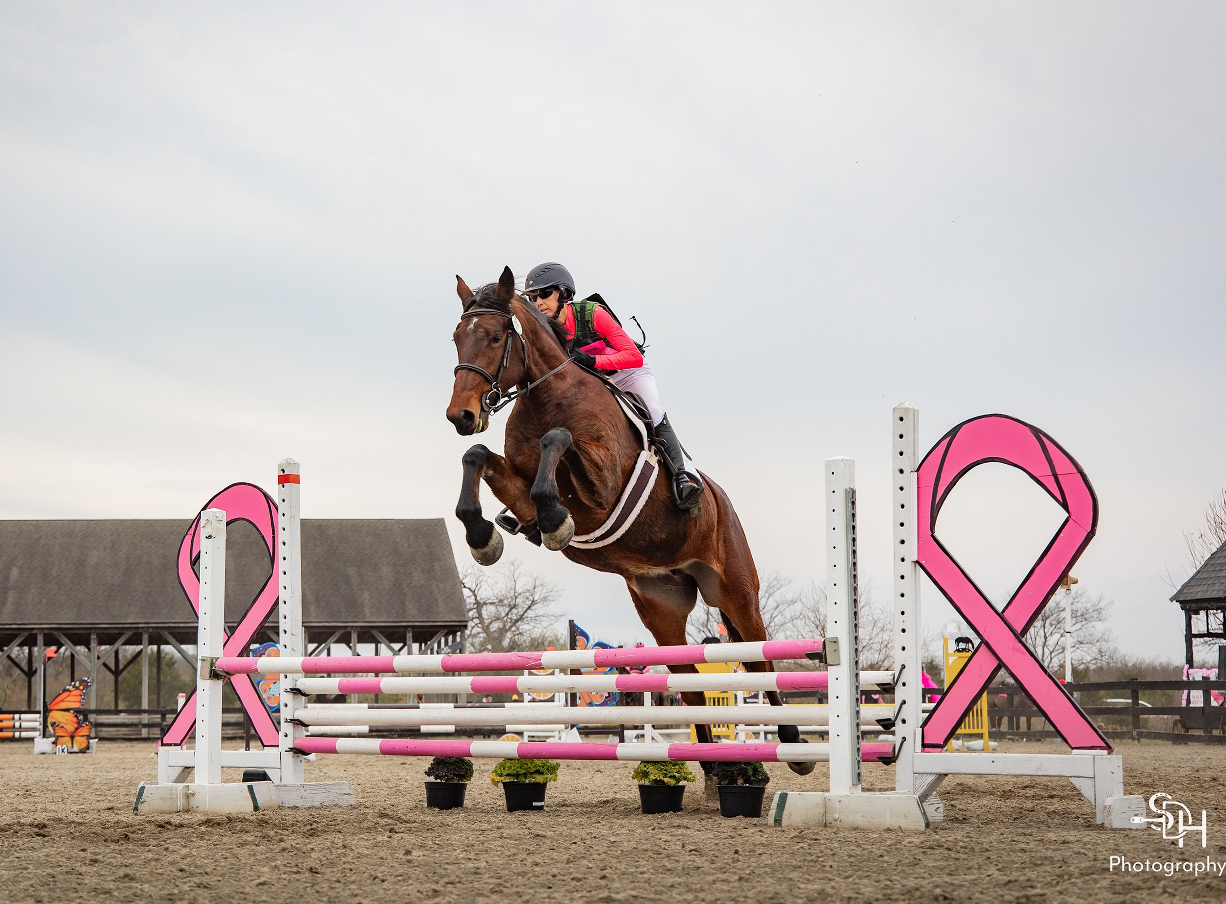 Nesta HCFST prof jump 1 med.jpg