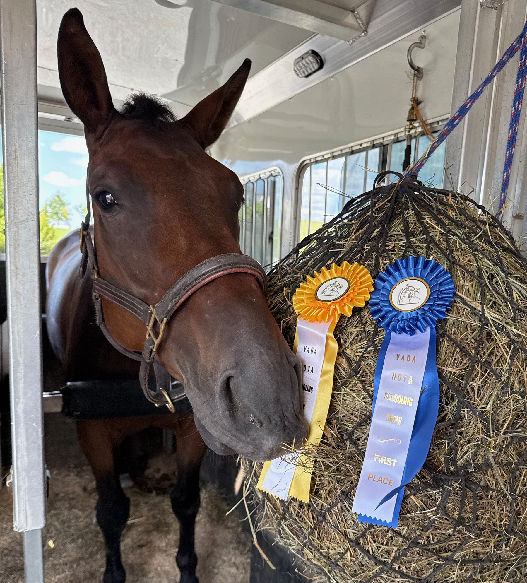 Jacek MPDS25 ribbons 1.jpg