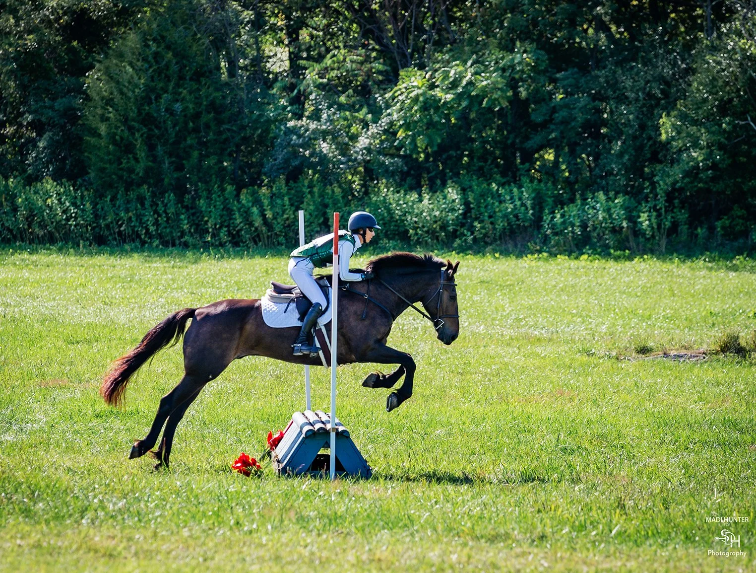 Shultz CDCTA prof xc jump 1 med.jpg
