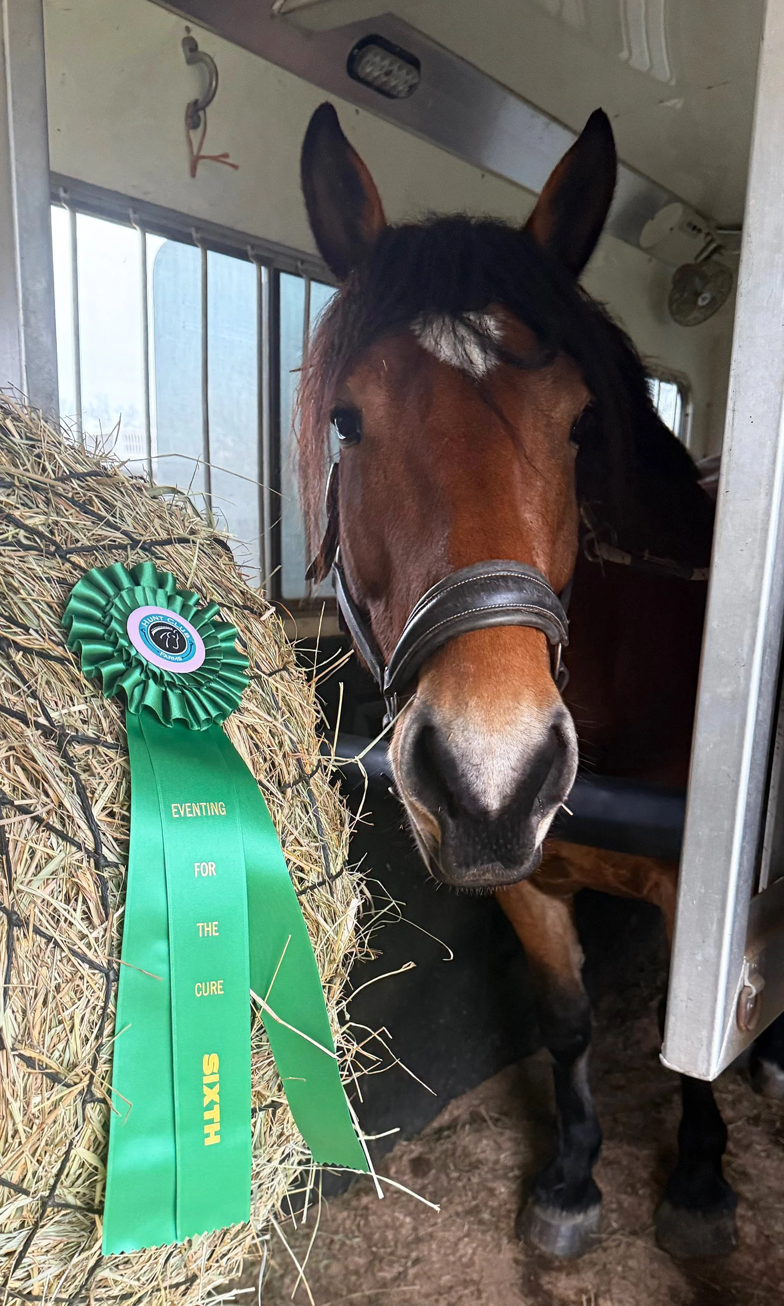 Bash HCFST ribbon 1.jpg