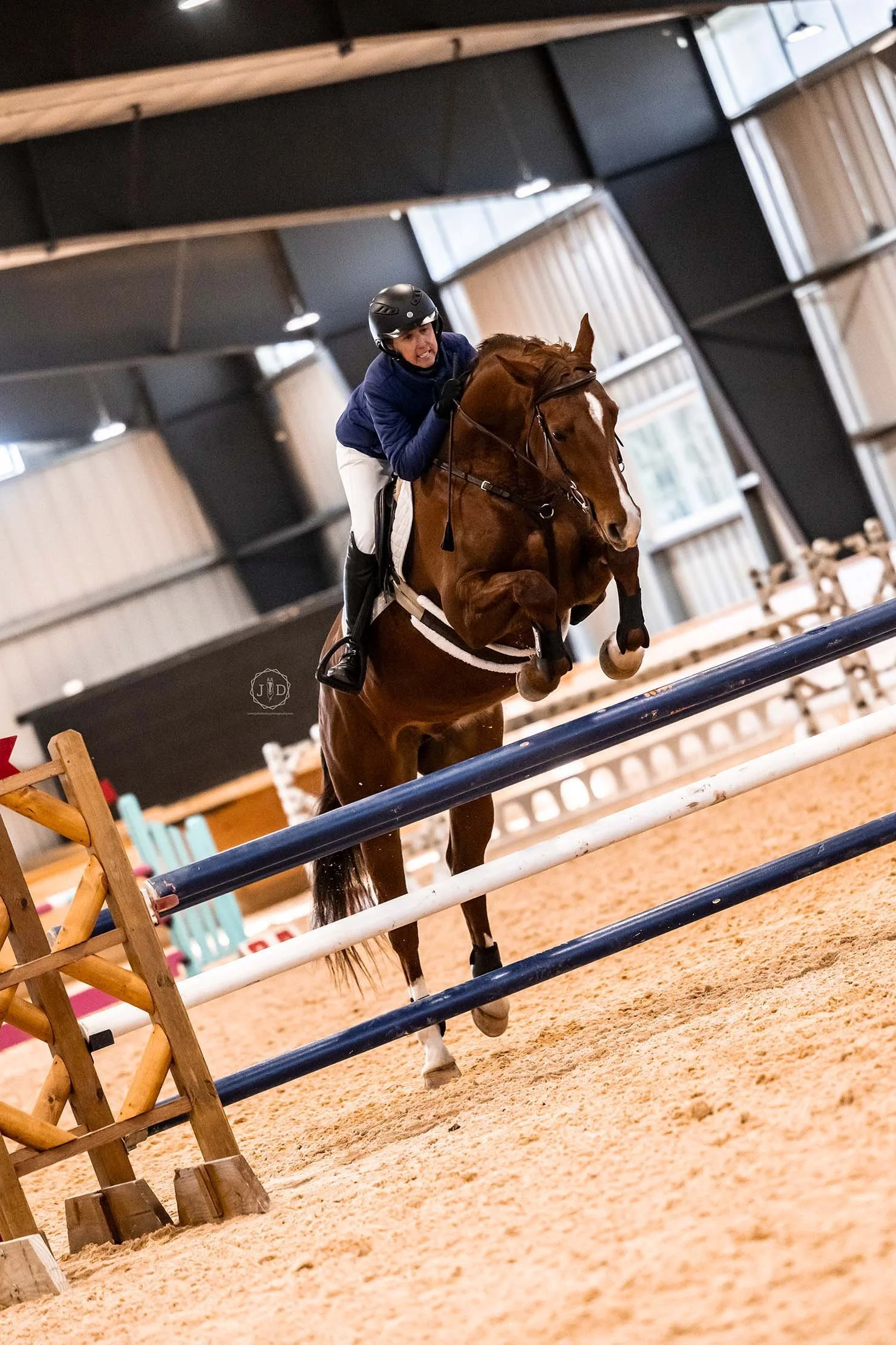 Cadenza MCDJS prof jump 3.jpg