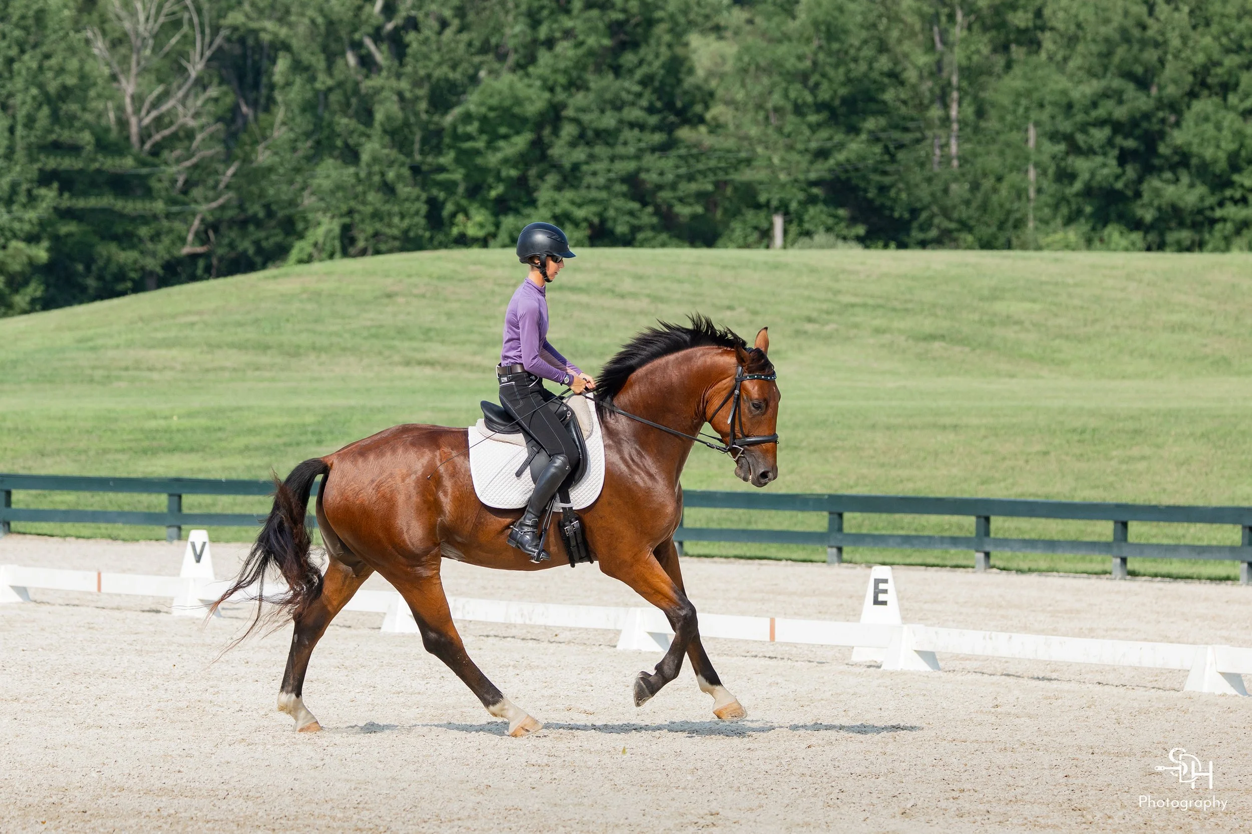 Fame GMDS2 canter 2 med.jpg