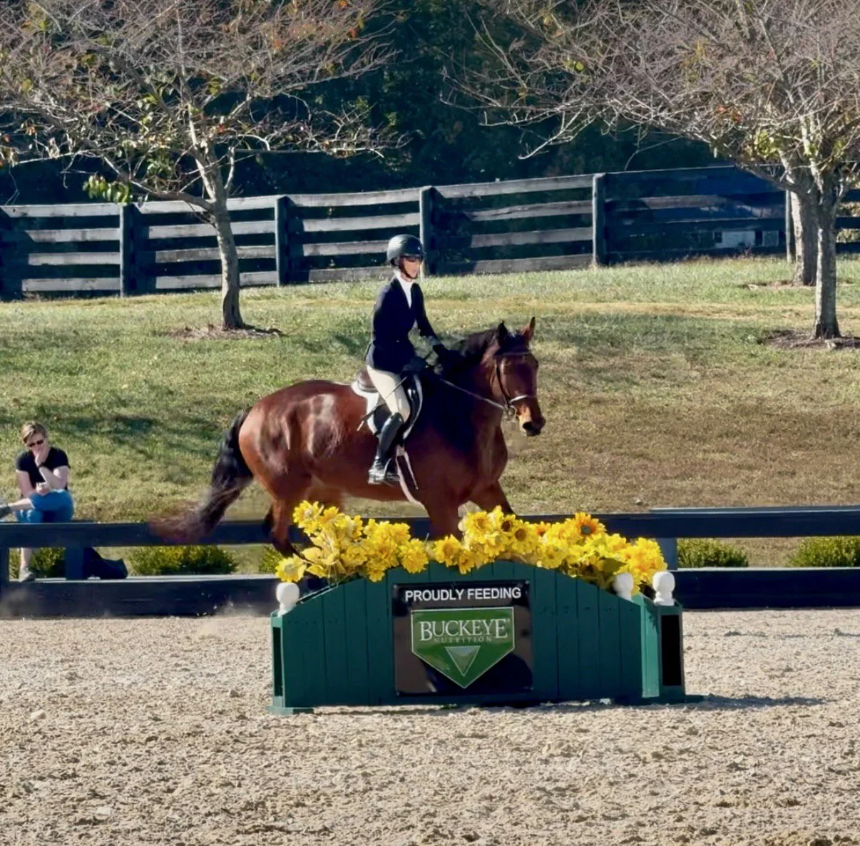 Nesta BVHS canter 2.jpg