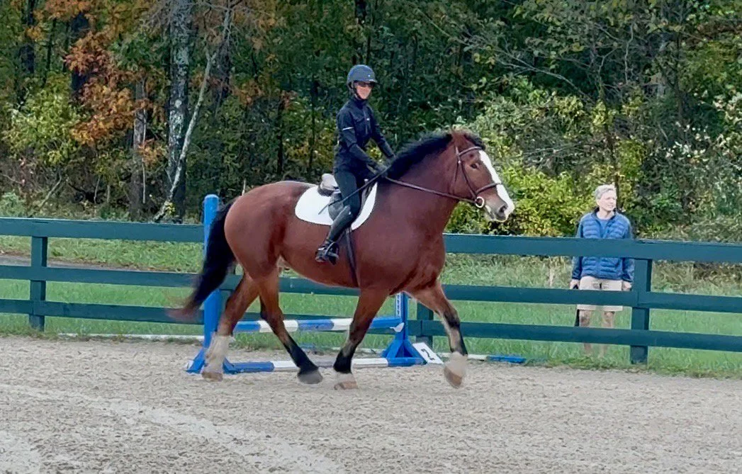 Mungo GMJS trot 1.jpg