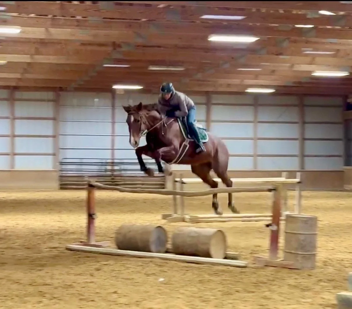 Cadenza - jump 4' - 1.jpg