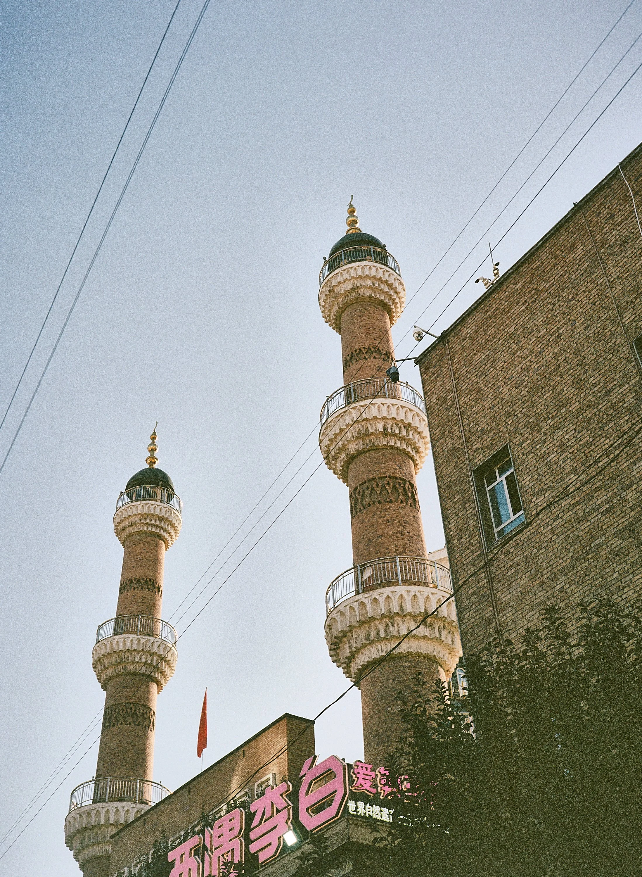 BPHL_XINJIANG_2026_09_11_0474.jpg