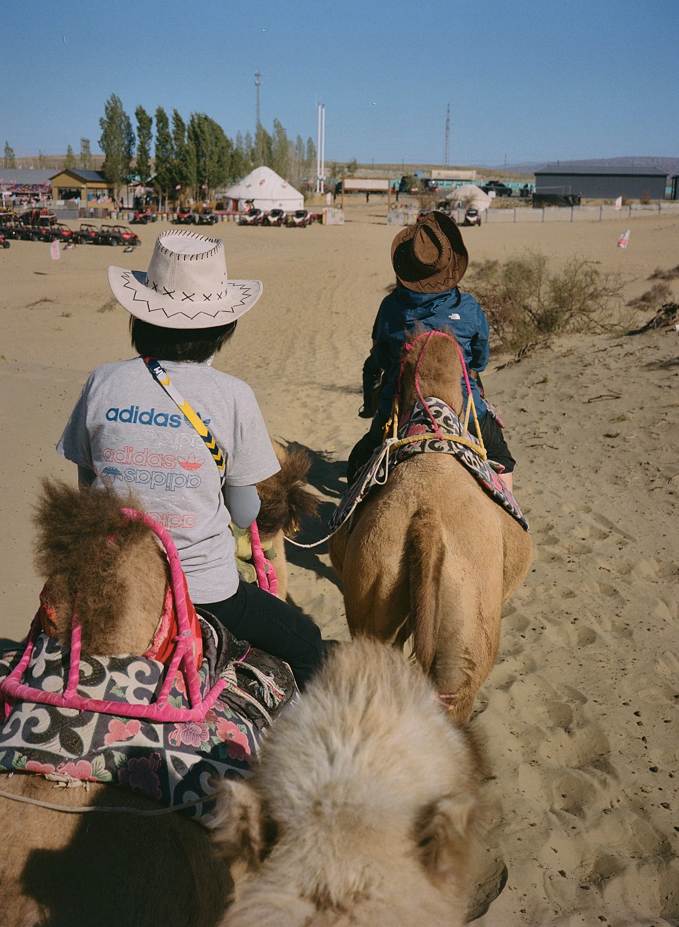 BPHL_XINJIANG_2026_09_11_0495.jpg