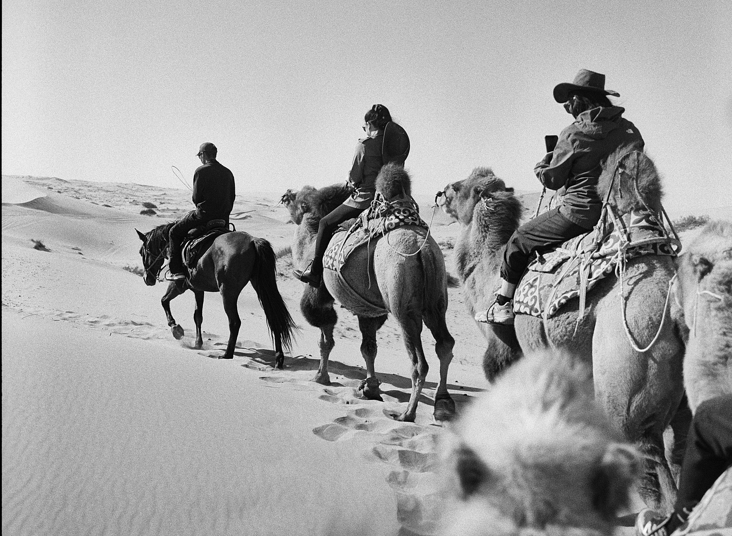 BPHL_XINJIANG_2026_09_11_0524.jpg