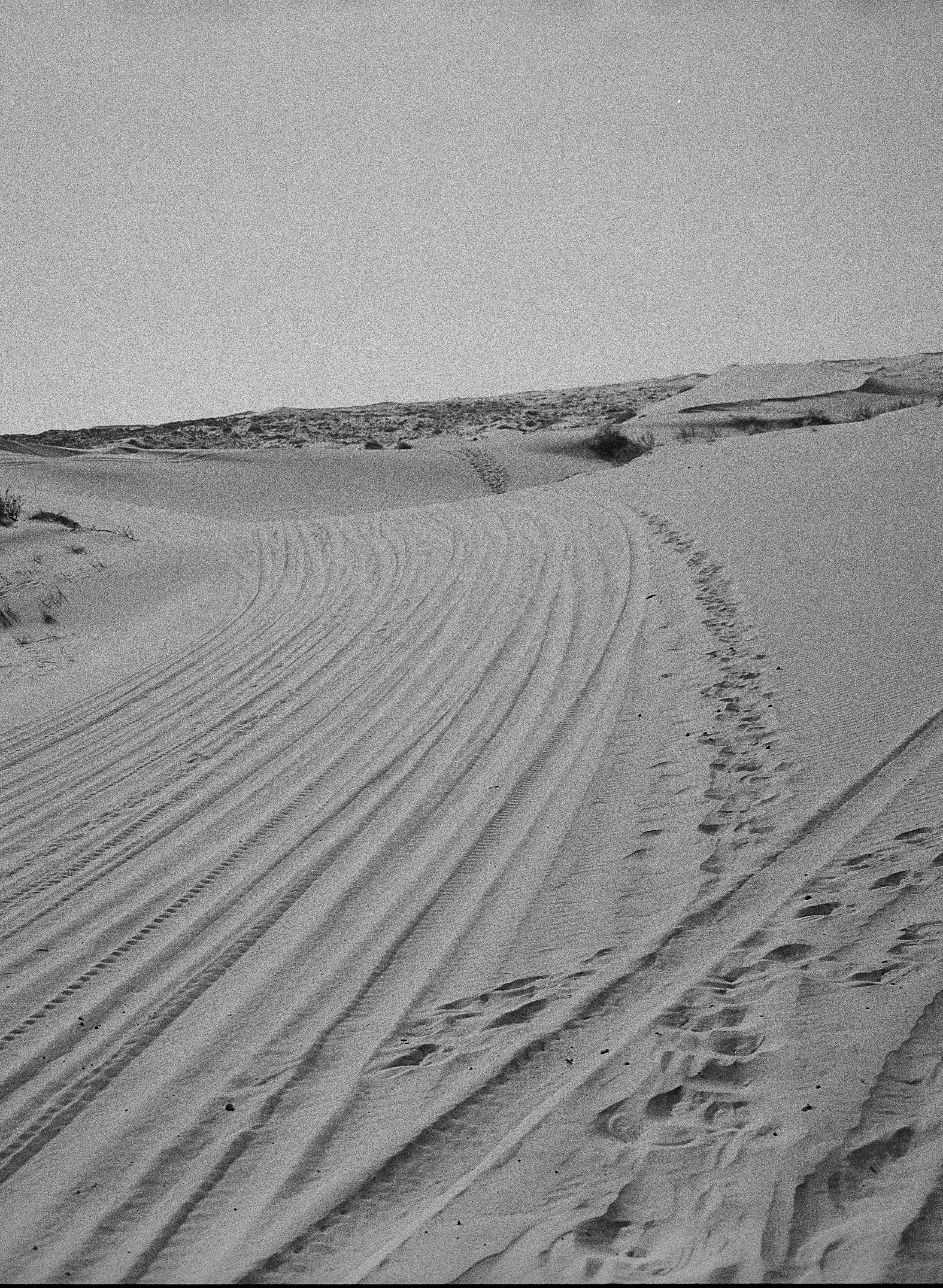 BPHL_XINJIANG_2026_09_11_0528.jpg