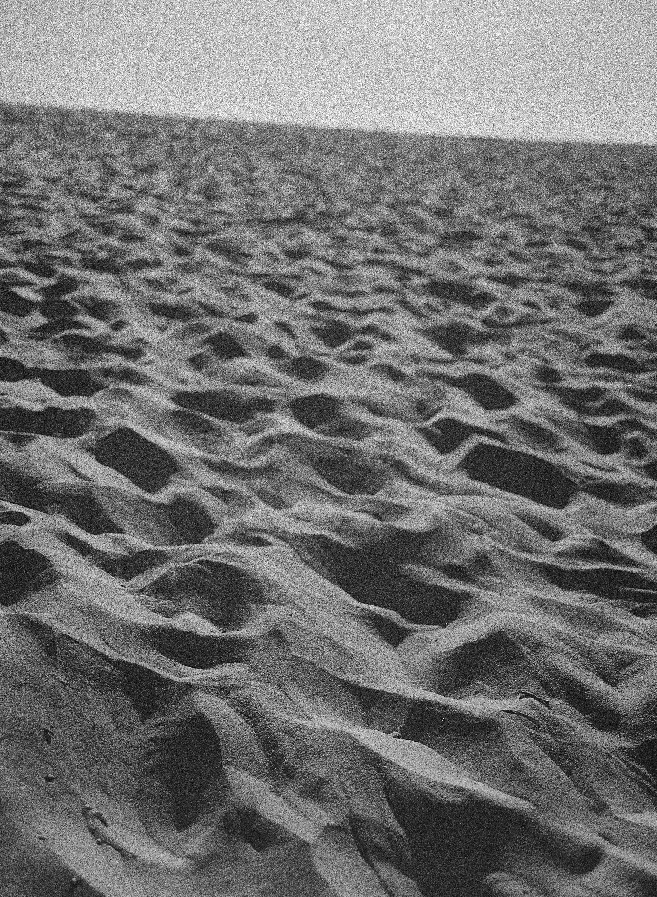 BPHL_XINJIANG_2026_09_11_0535.jpg