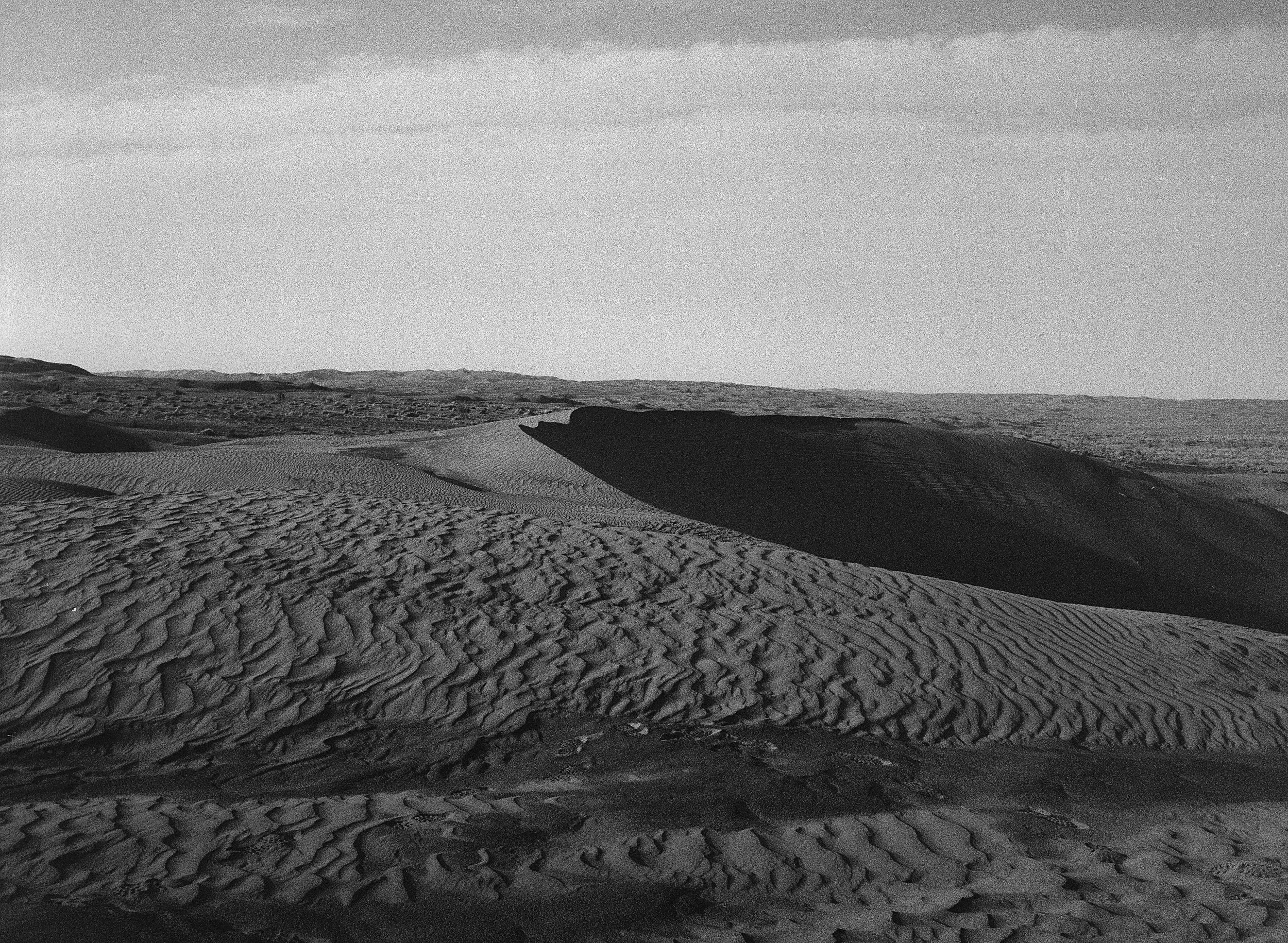 BPHL_XINJIANG_2026_09_11_0537.jpg