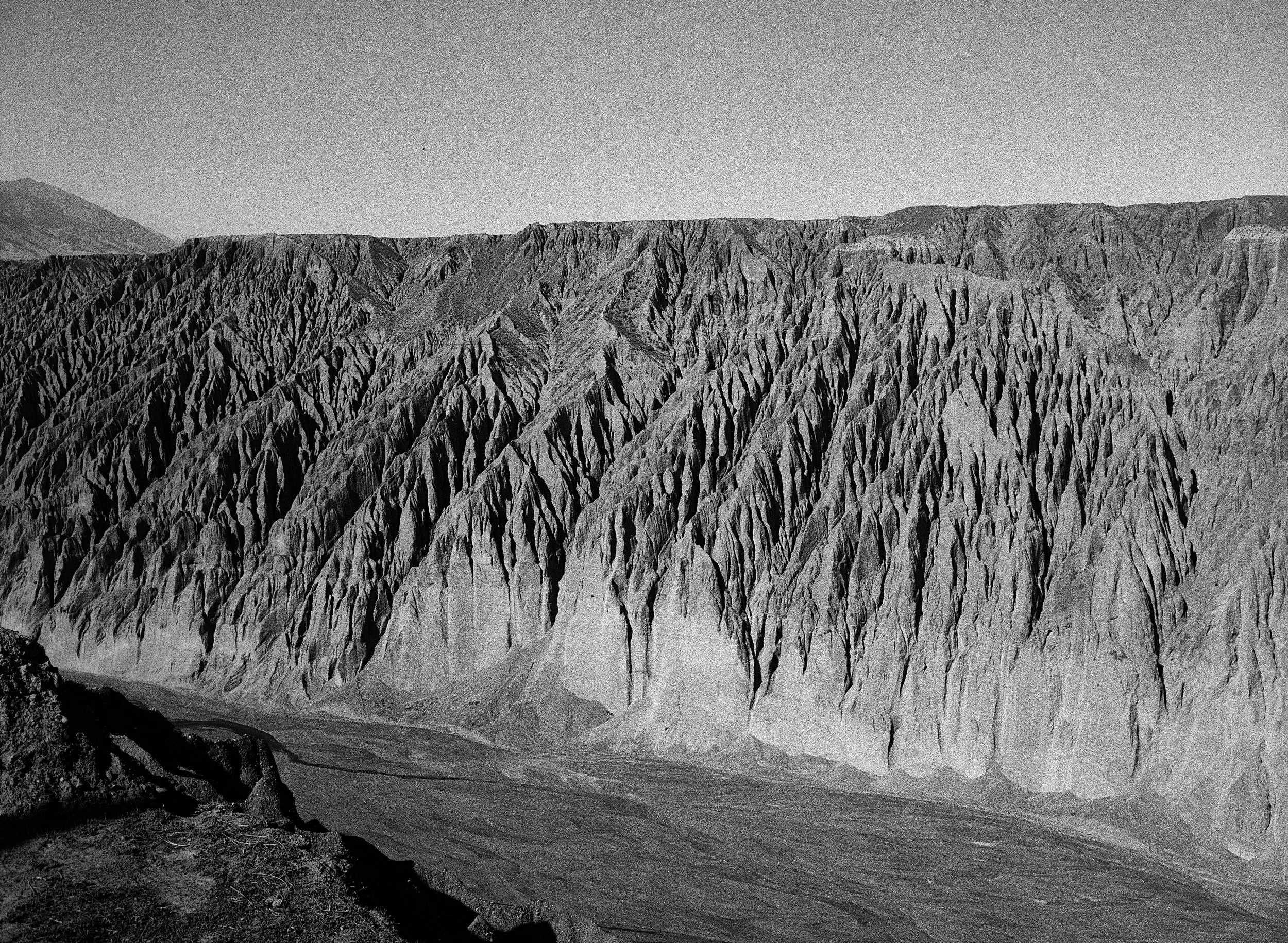 BPHL_XINJIANG_2026_09_11_0550.jpg